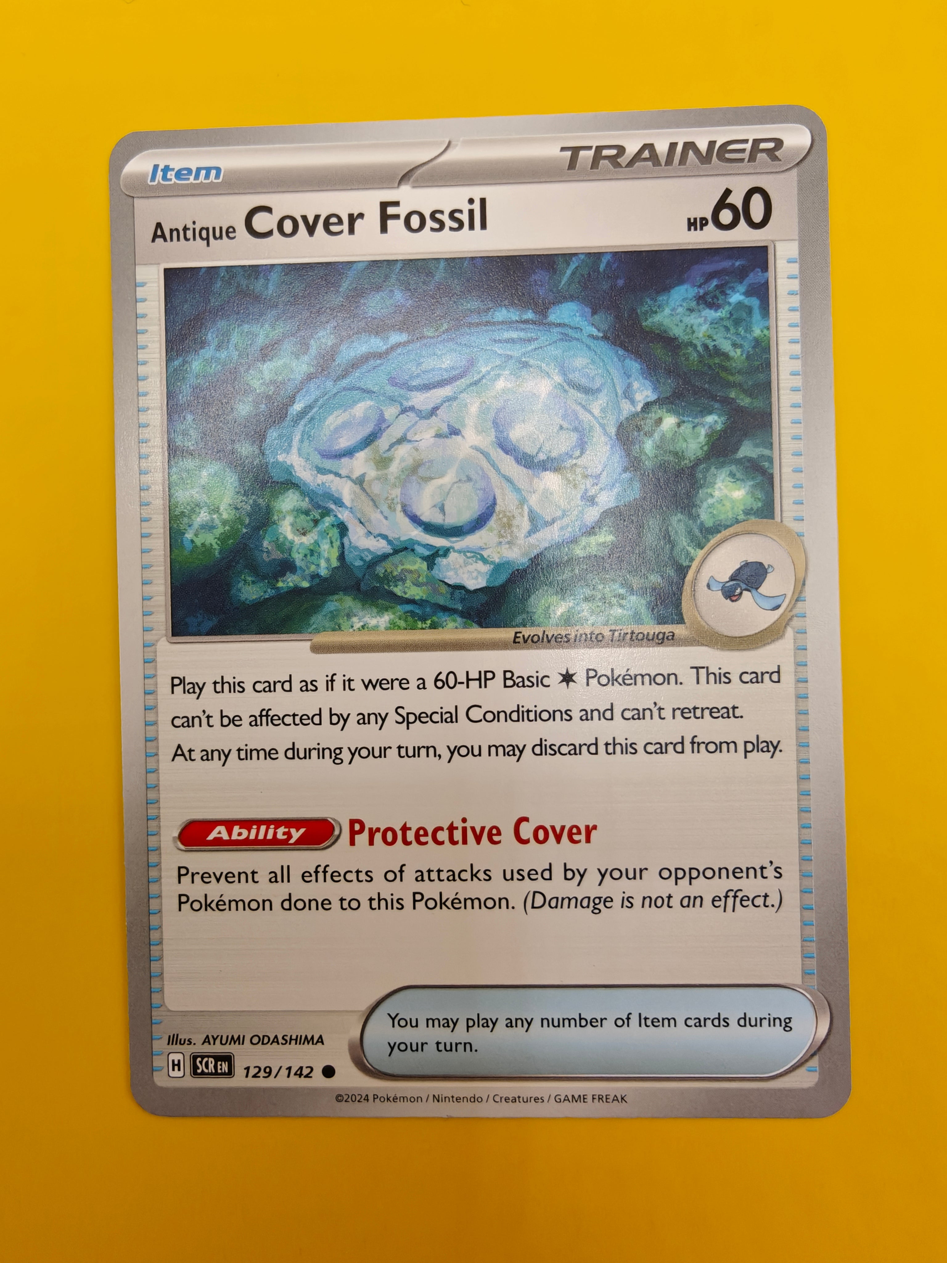 Antique Cover Fossil - Stellar Crown