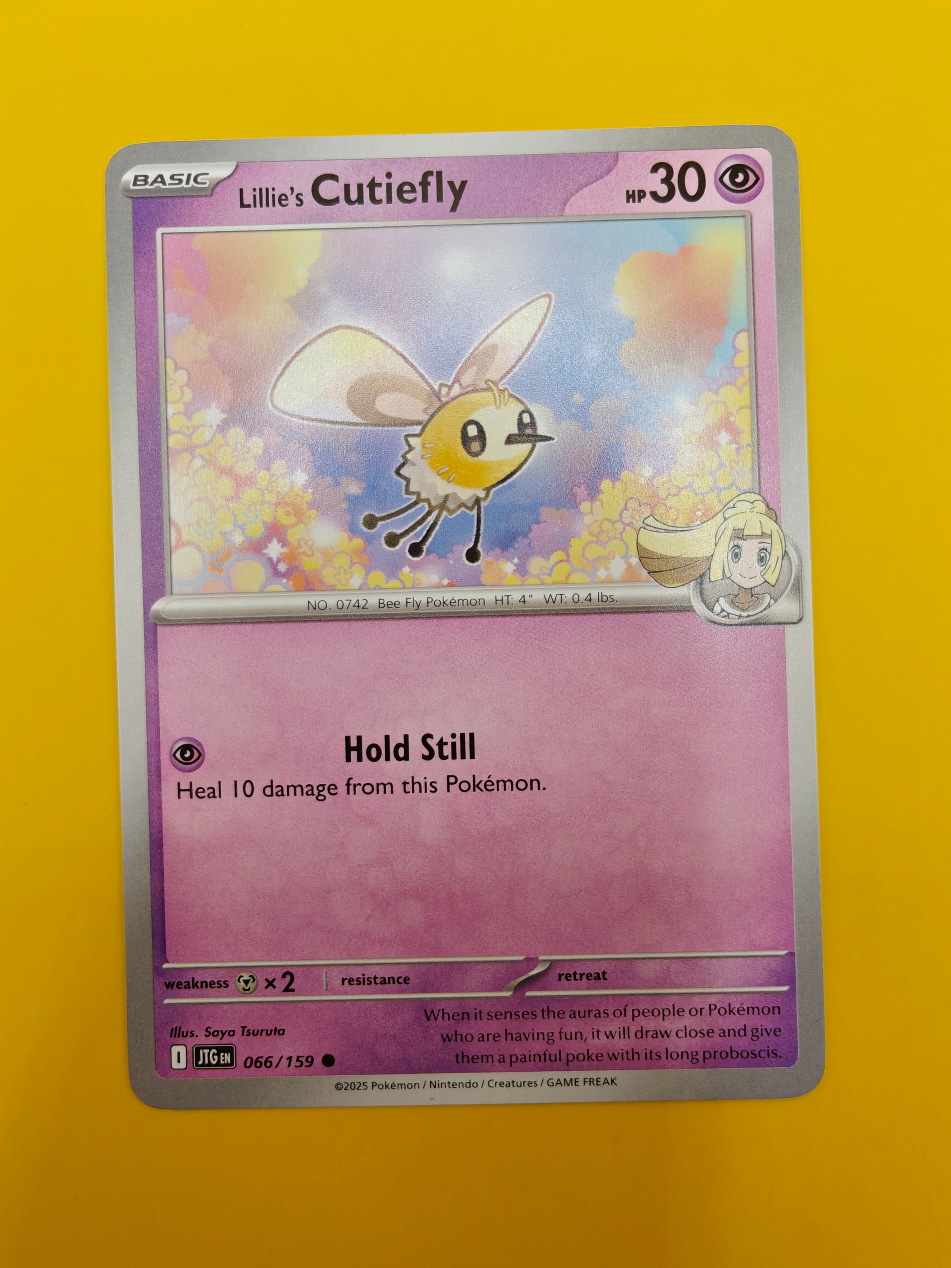 Lillie's Cutiefly - Journey Together