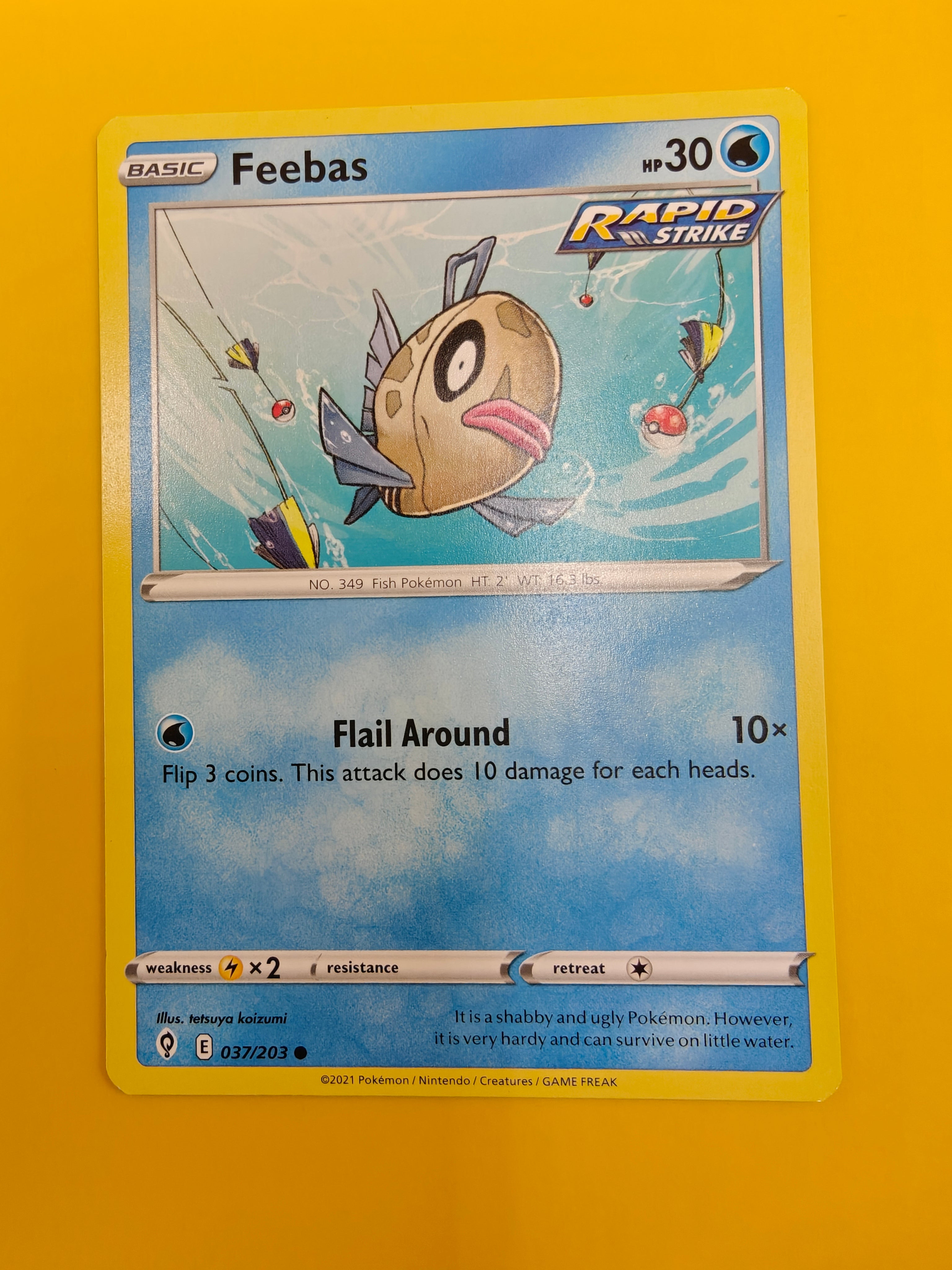 Feebas - Evolving Skies
