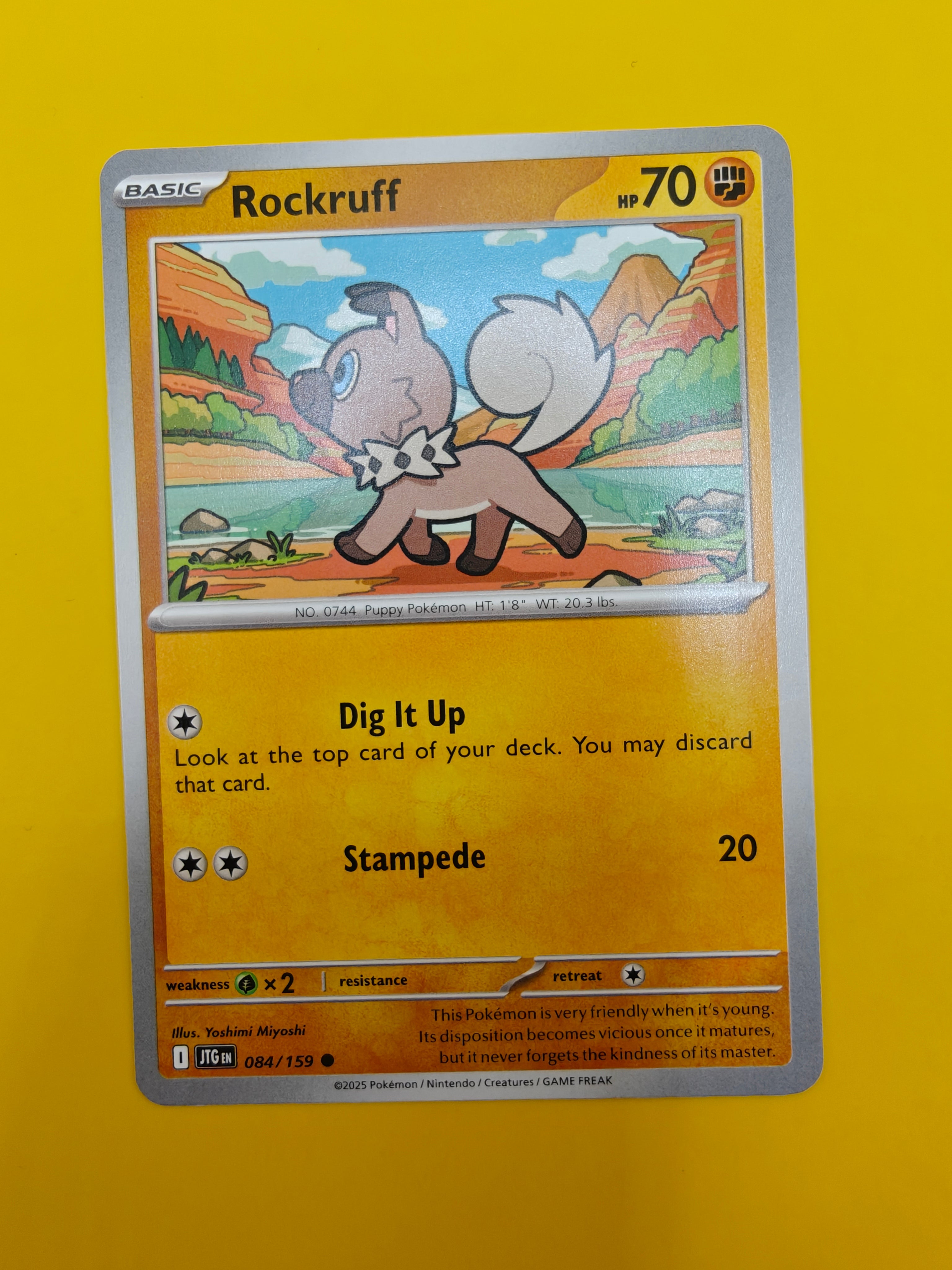 Rockruff - Journey Together