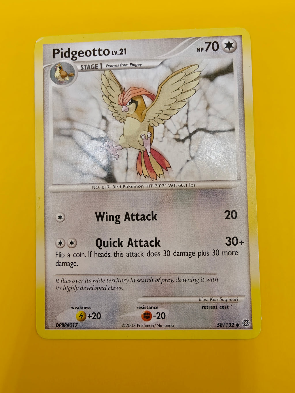 Pidgeotto Lv.21 - Secret Wonders