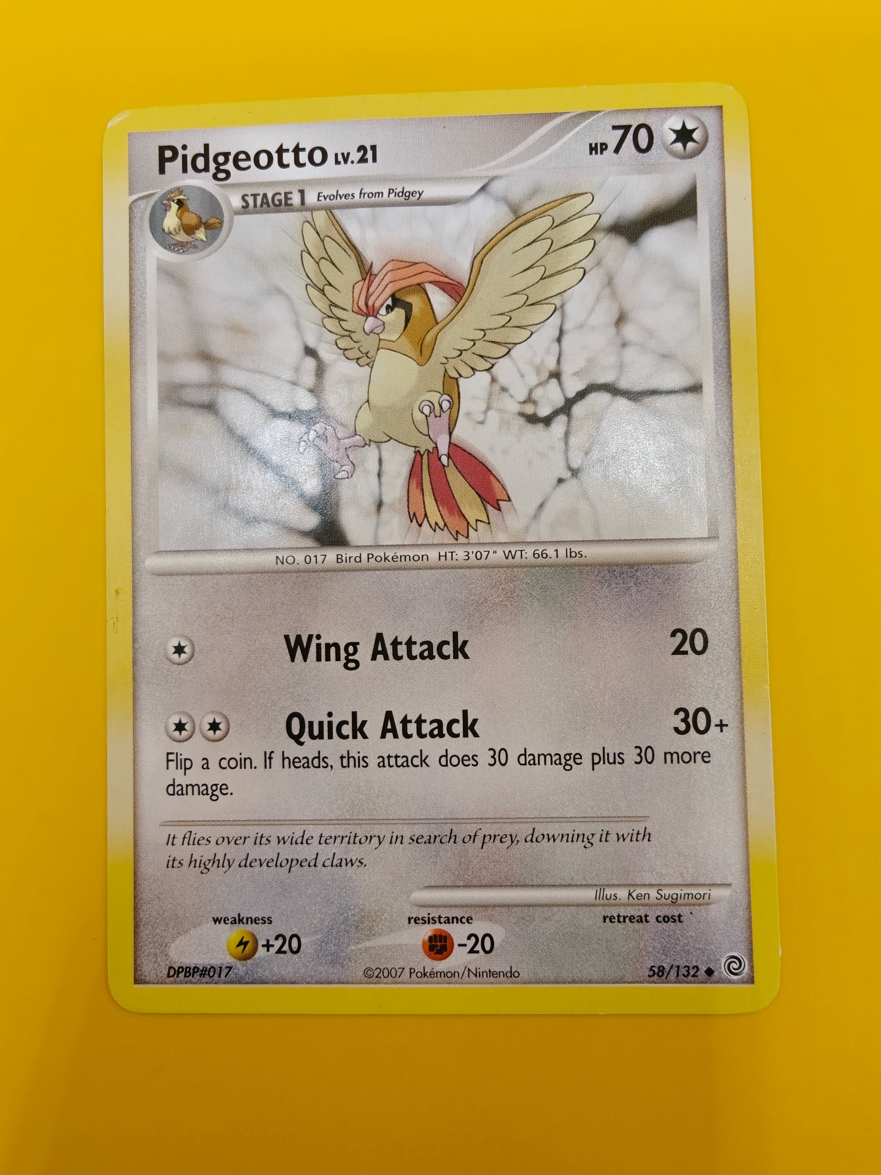 Pidgeotto Lv.21 - Secret Wonders