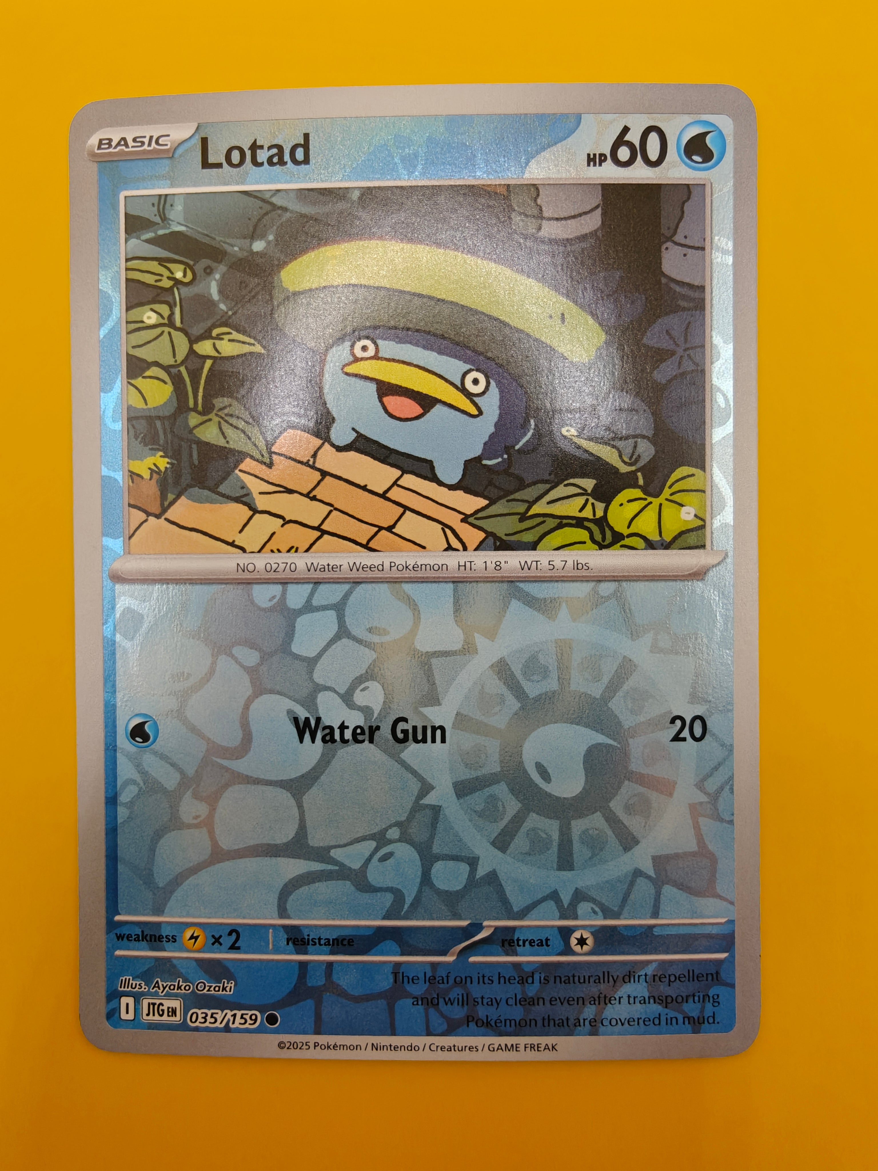 Lotad Reverse Holo - Journey Together