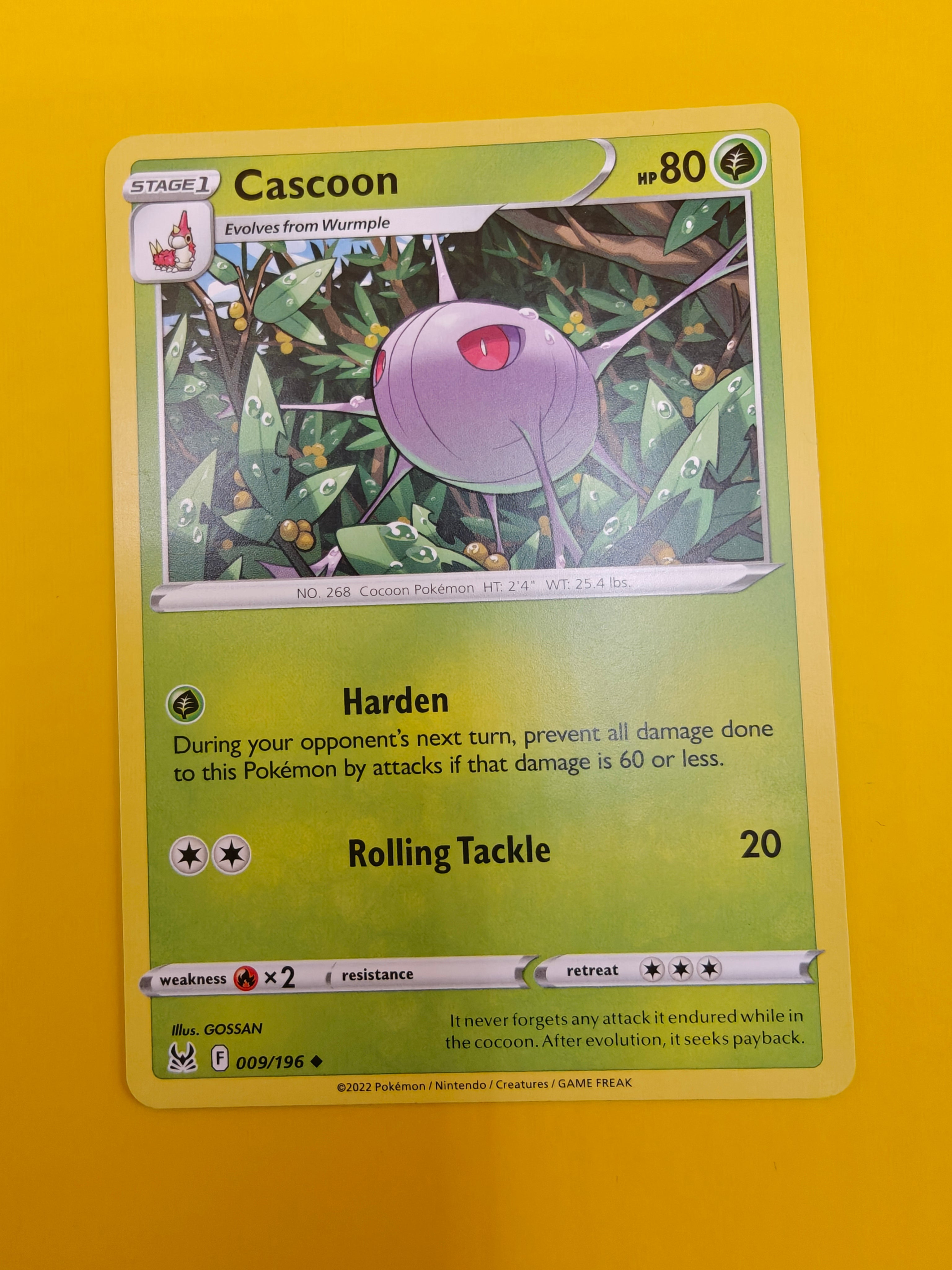 Cascoon - Lost Origin