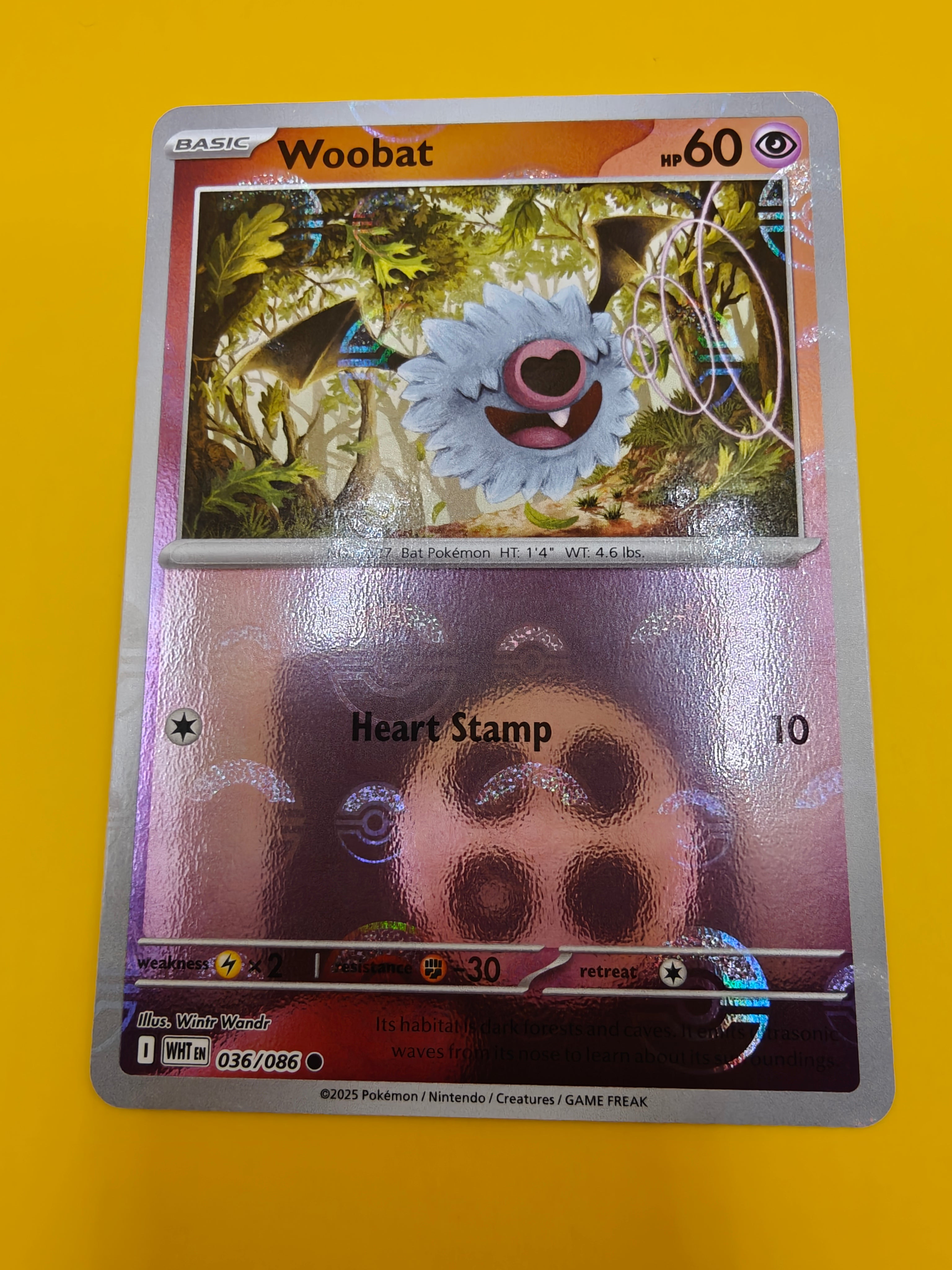 Woobat Poké Ball - White Flare