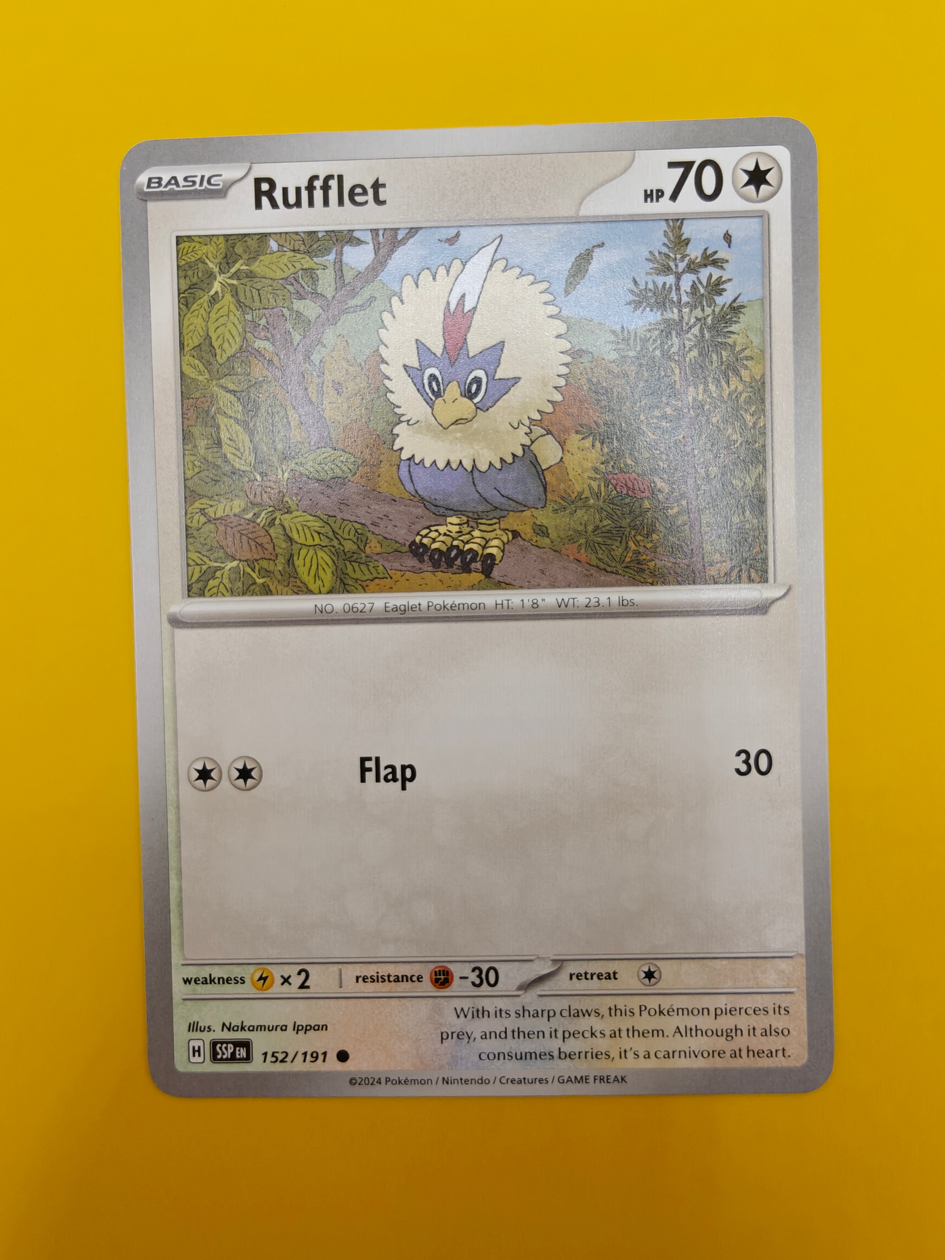 Rufflet - Surging Sparks