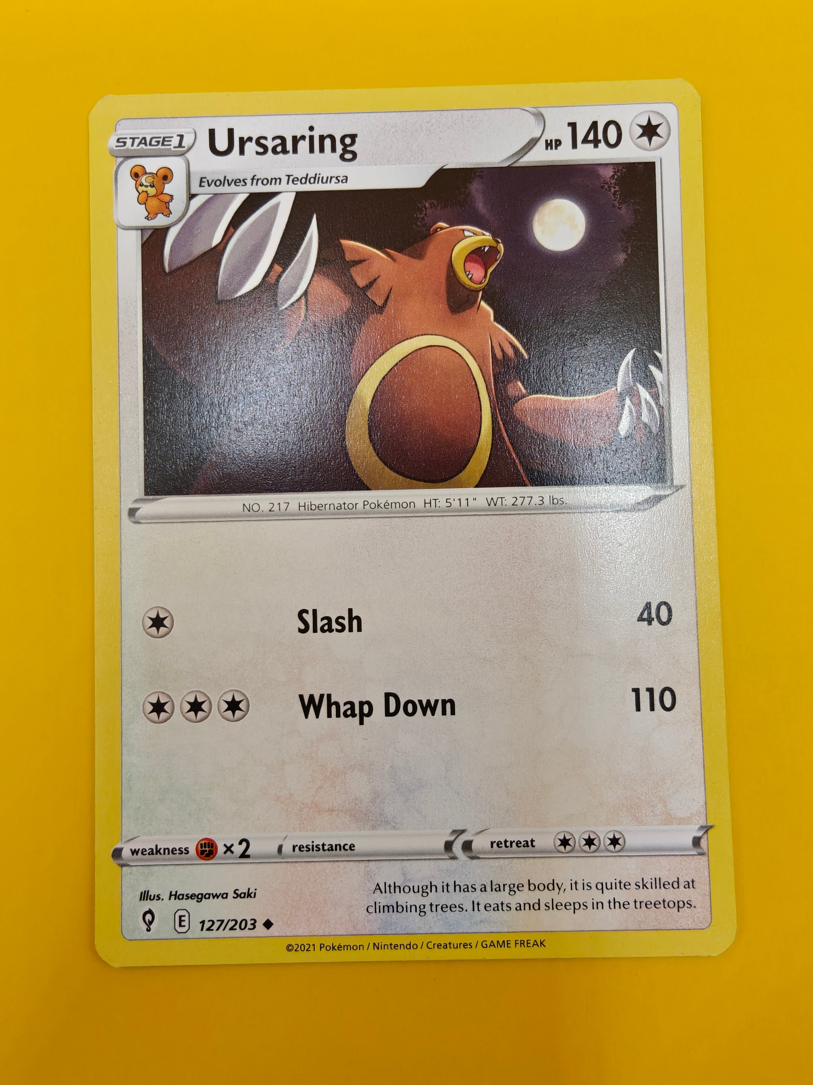 Ursaring - Evolving Skies