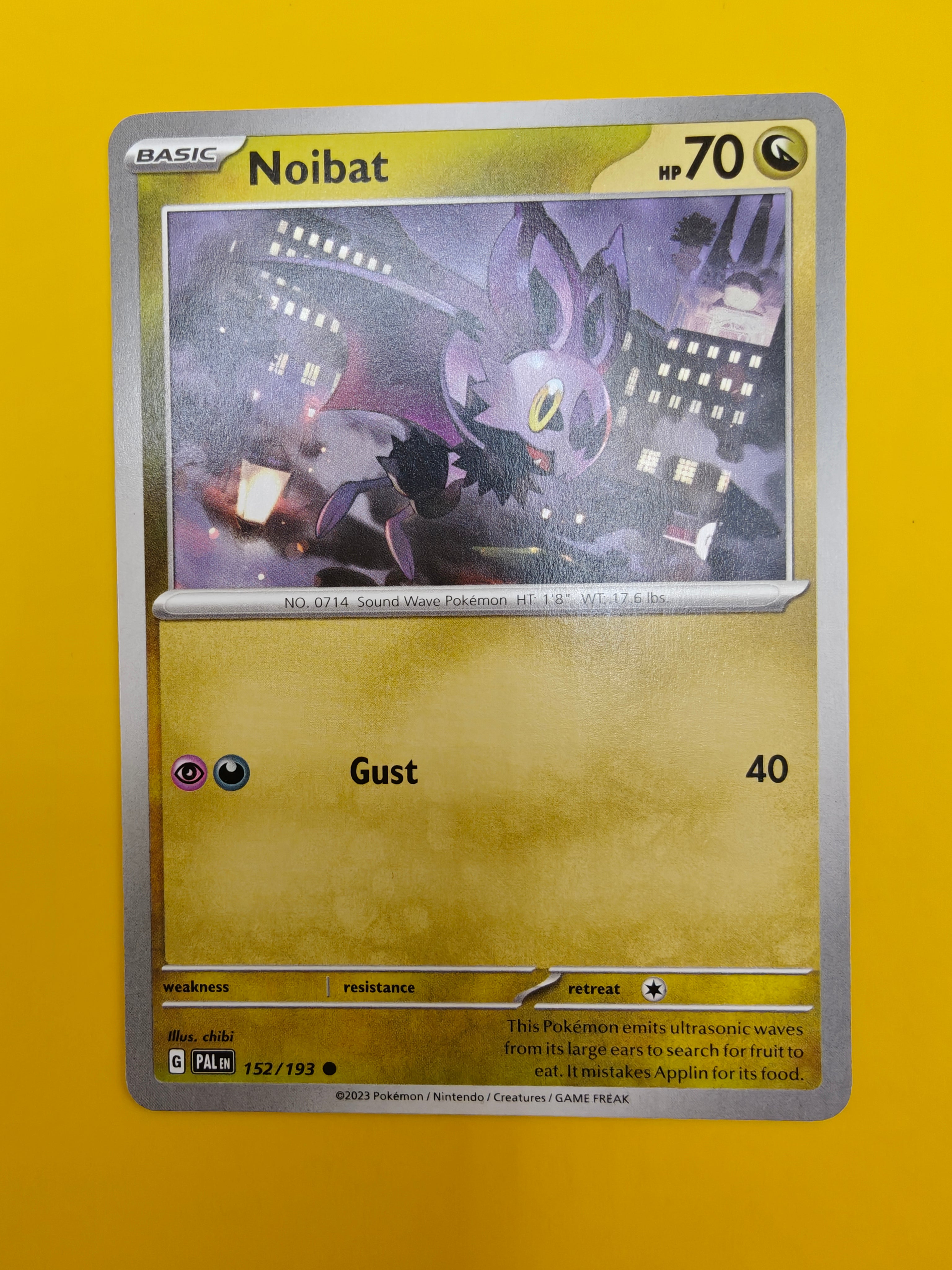 Noibat - Paldea Evolved
