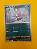 Purrloin - Paradox Rift