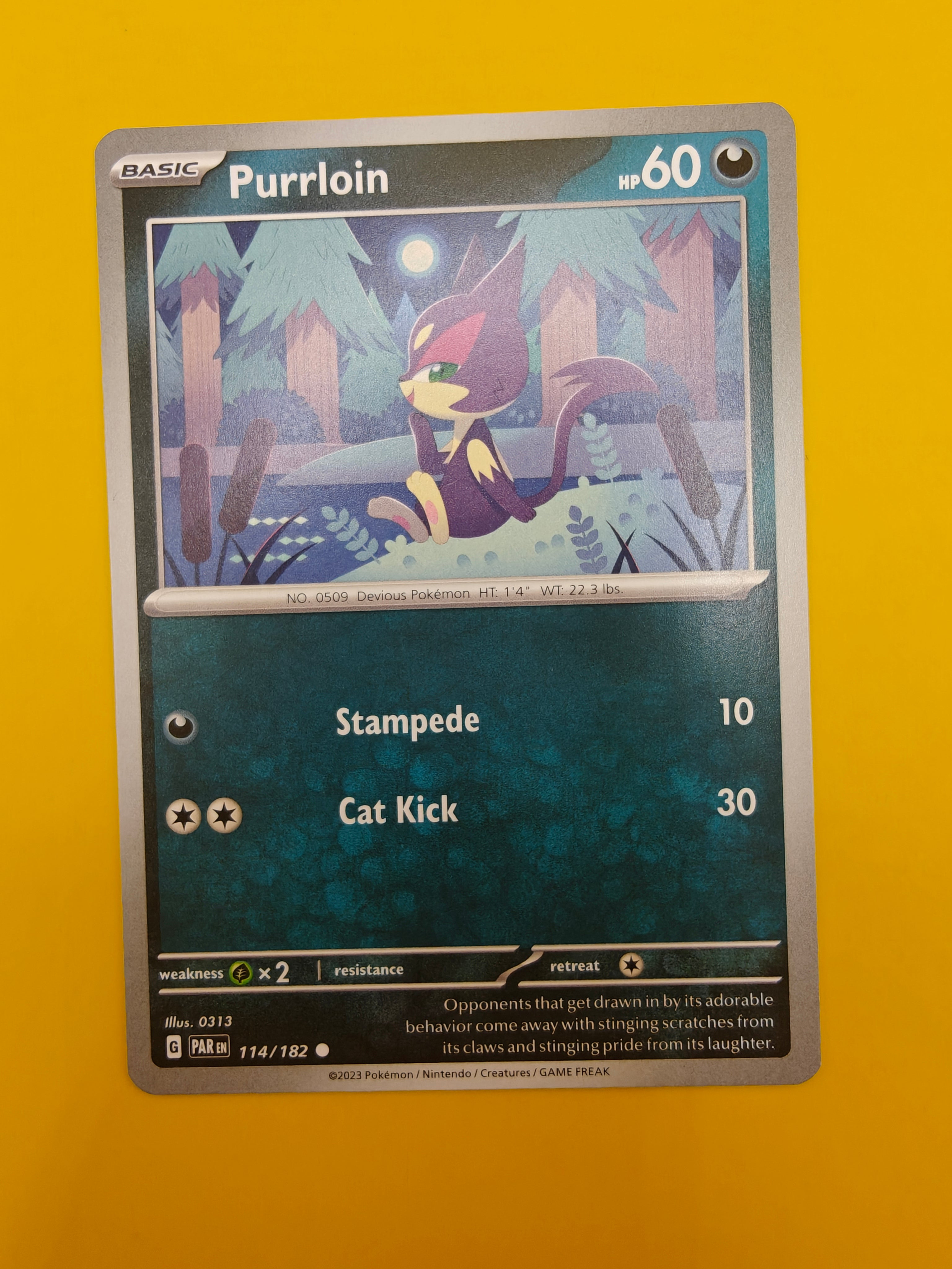 Purrloin - Paradox Rift