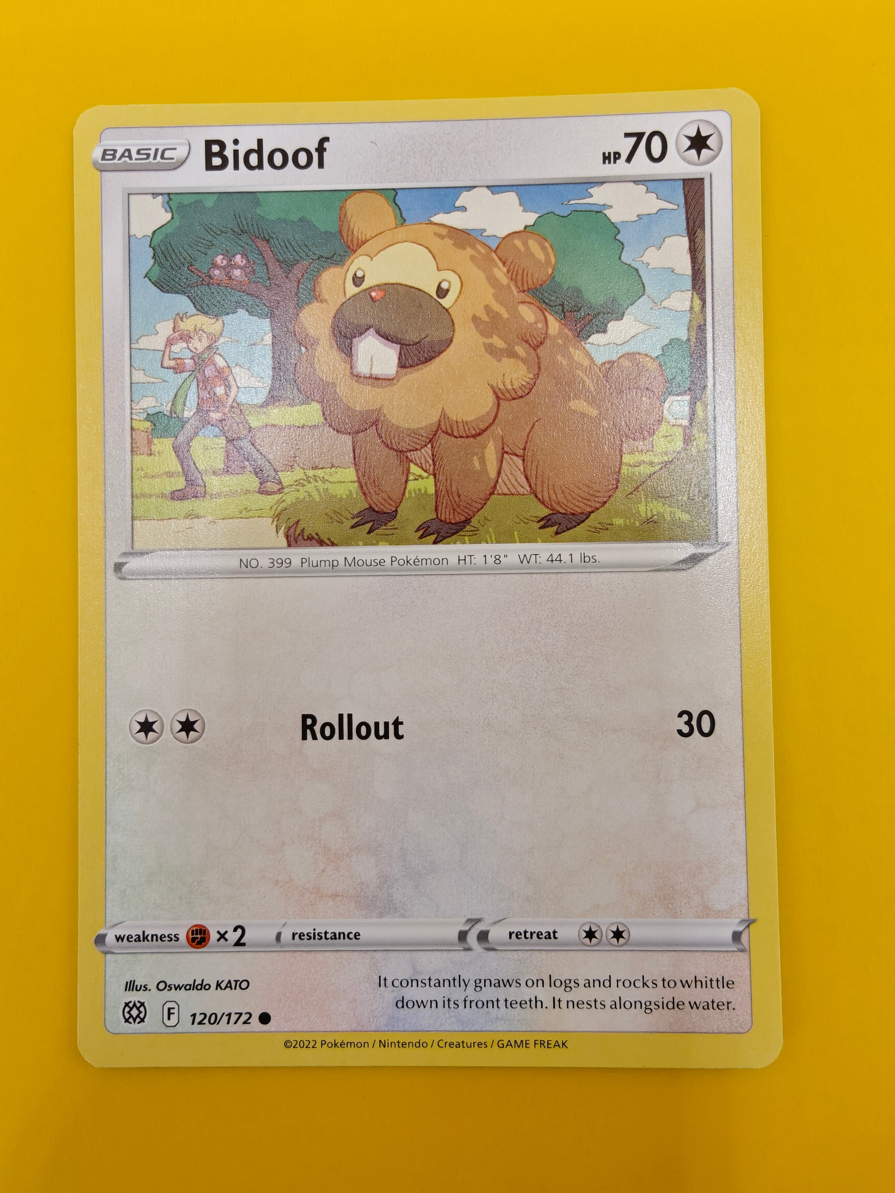 Bidoof - Brilliant Stars