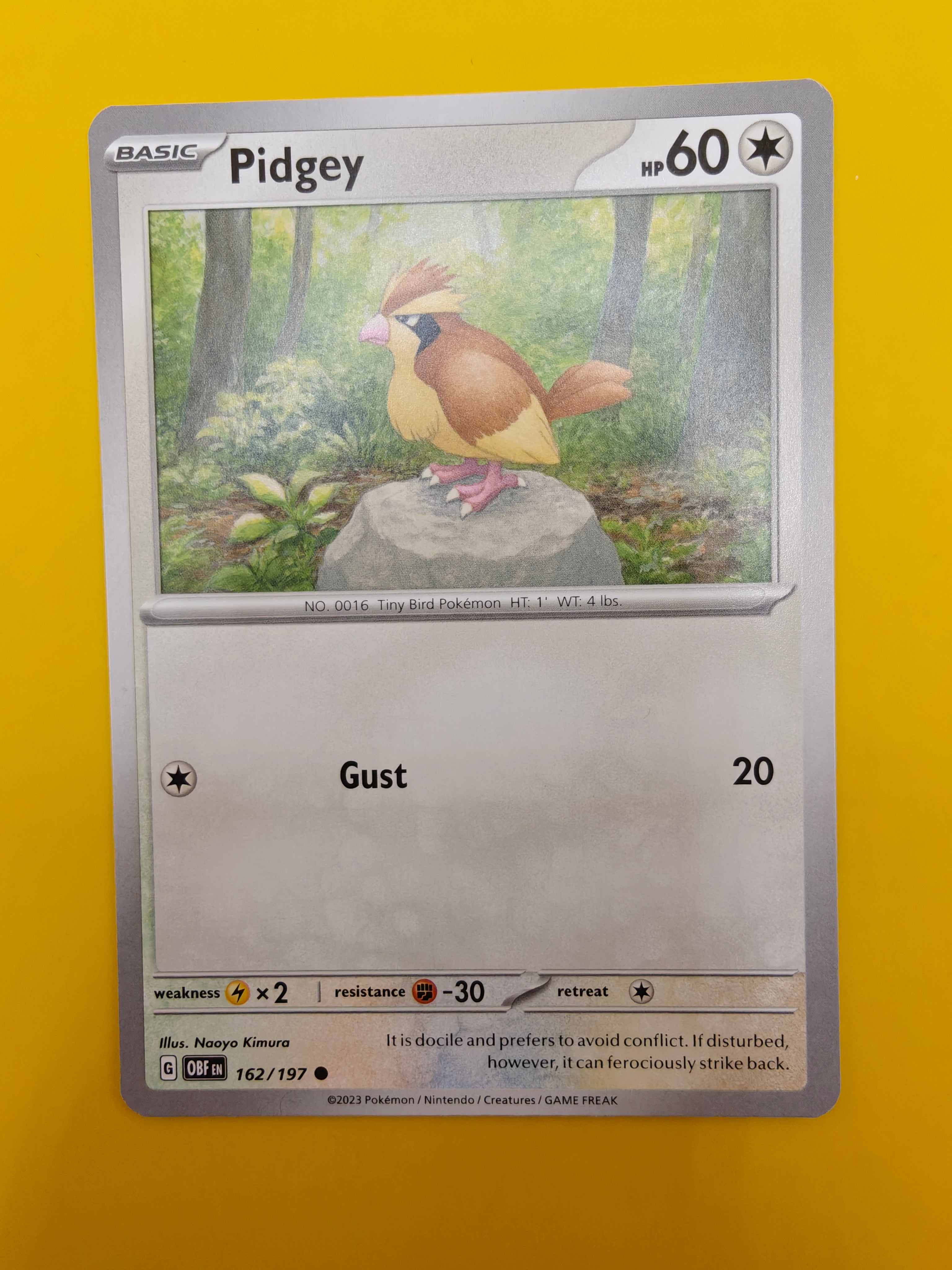 Pidgey - Obsidian Flames