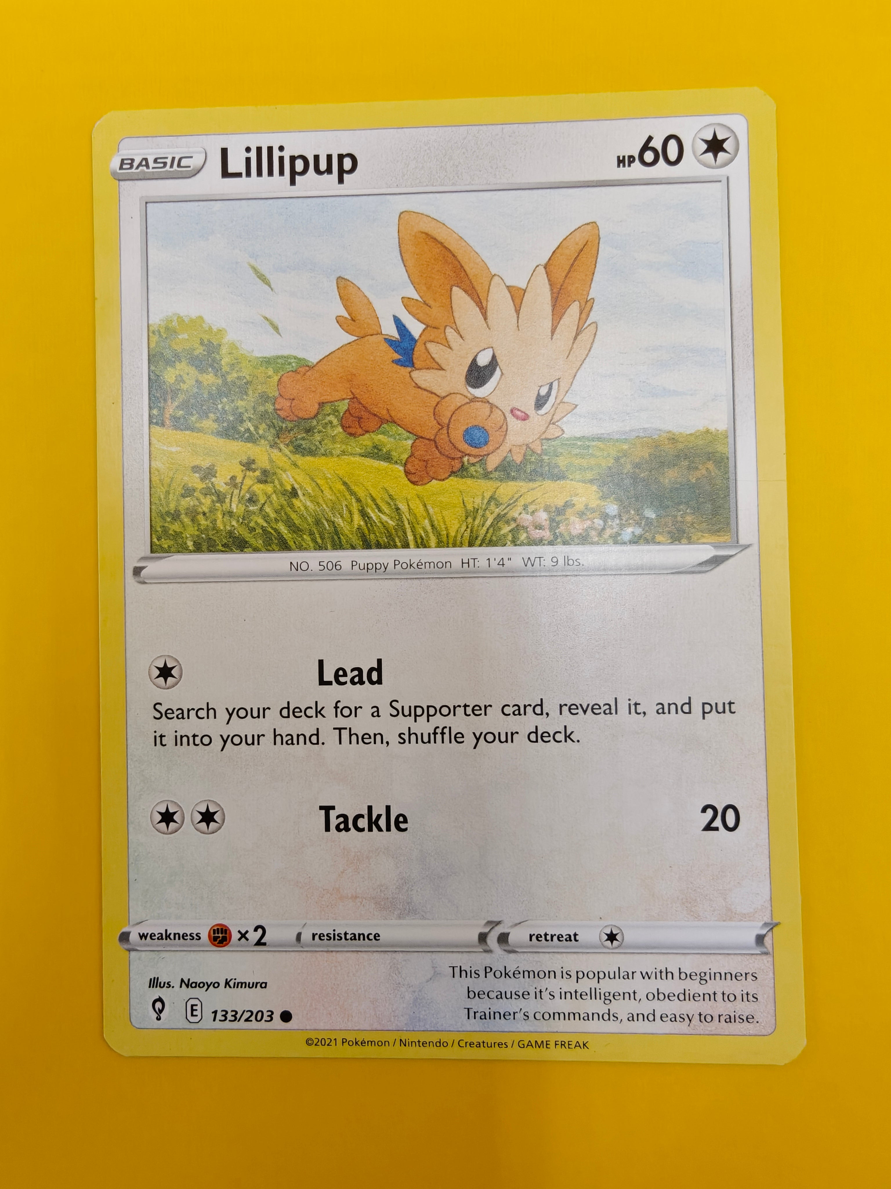 Lillipup - Evolving Skies