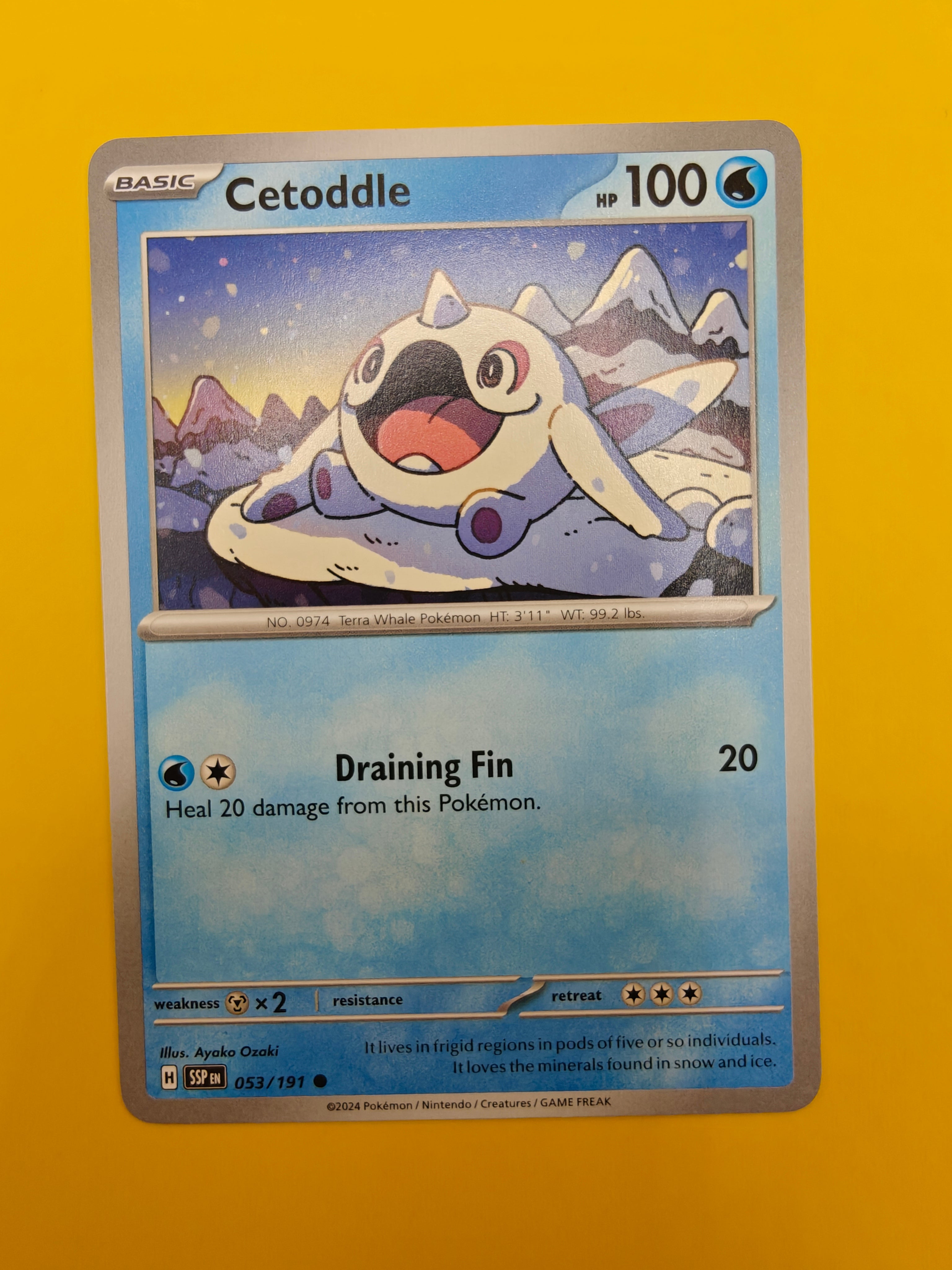 Cetoddle - Surging Sparks