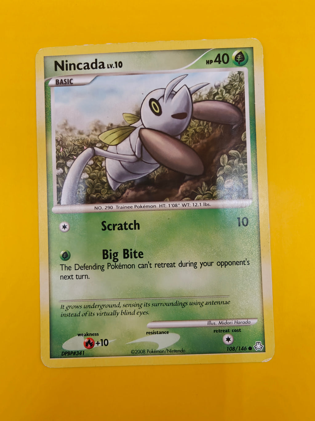 Nincada Lv.10 - Legends Awakened