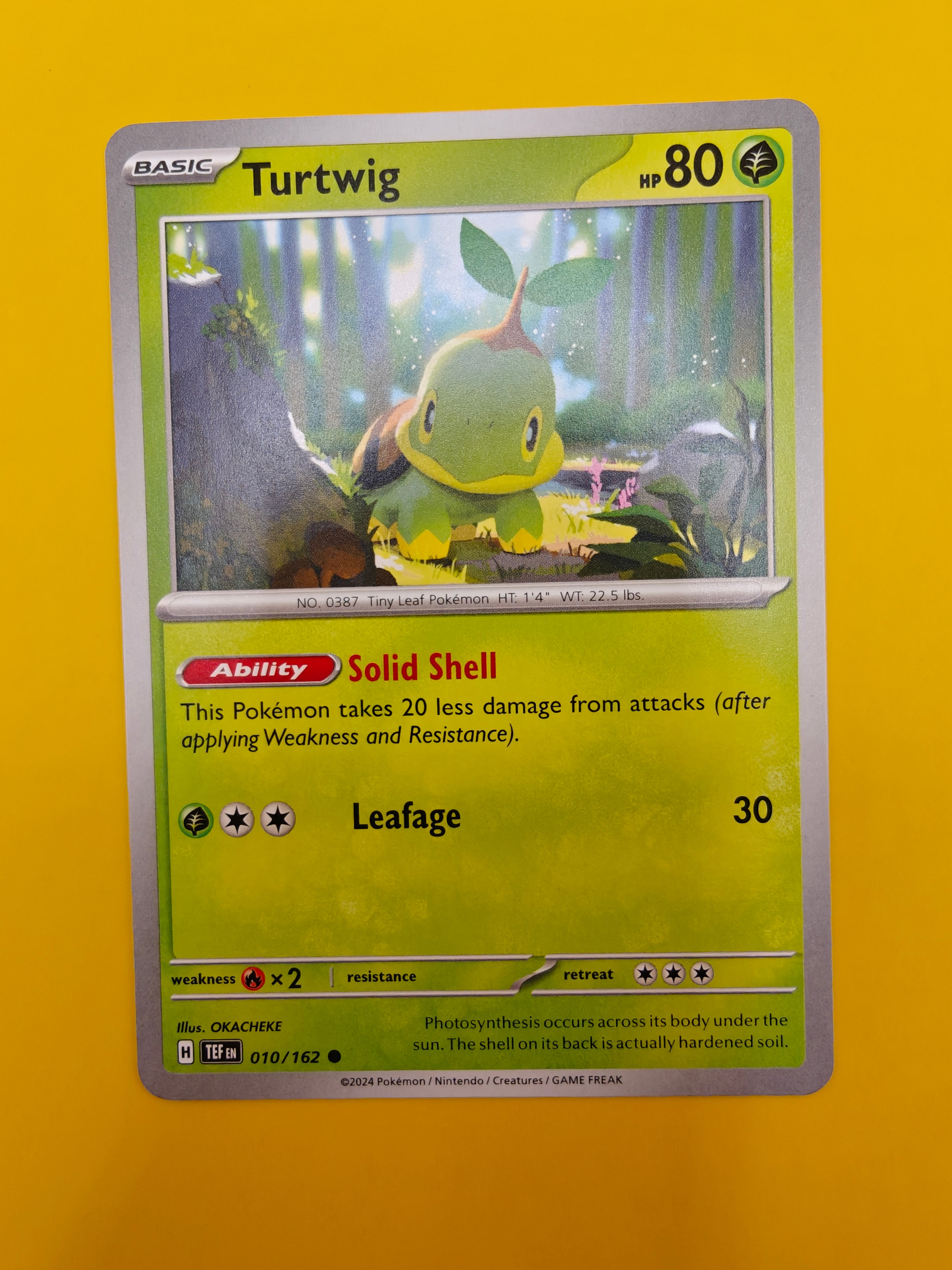 Turtwig - Temporal Forces