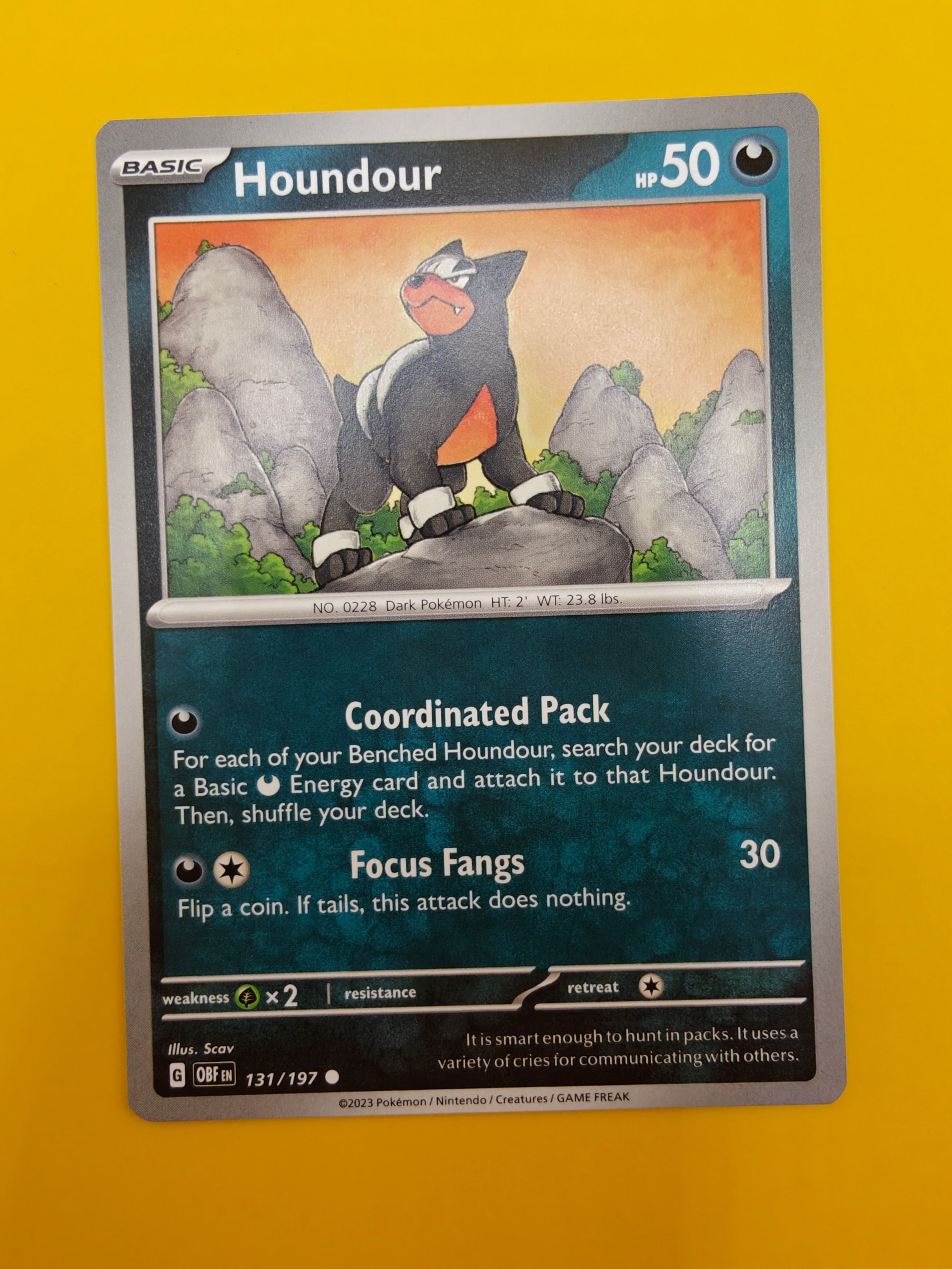 Houndour - Obsidian Flames