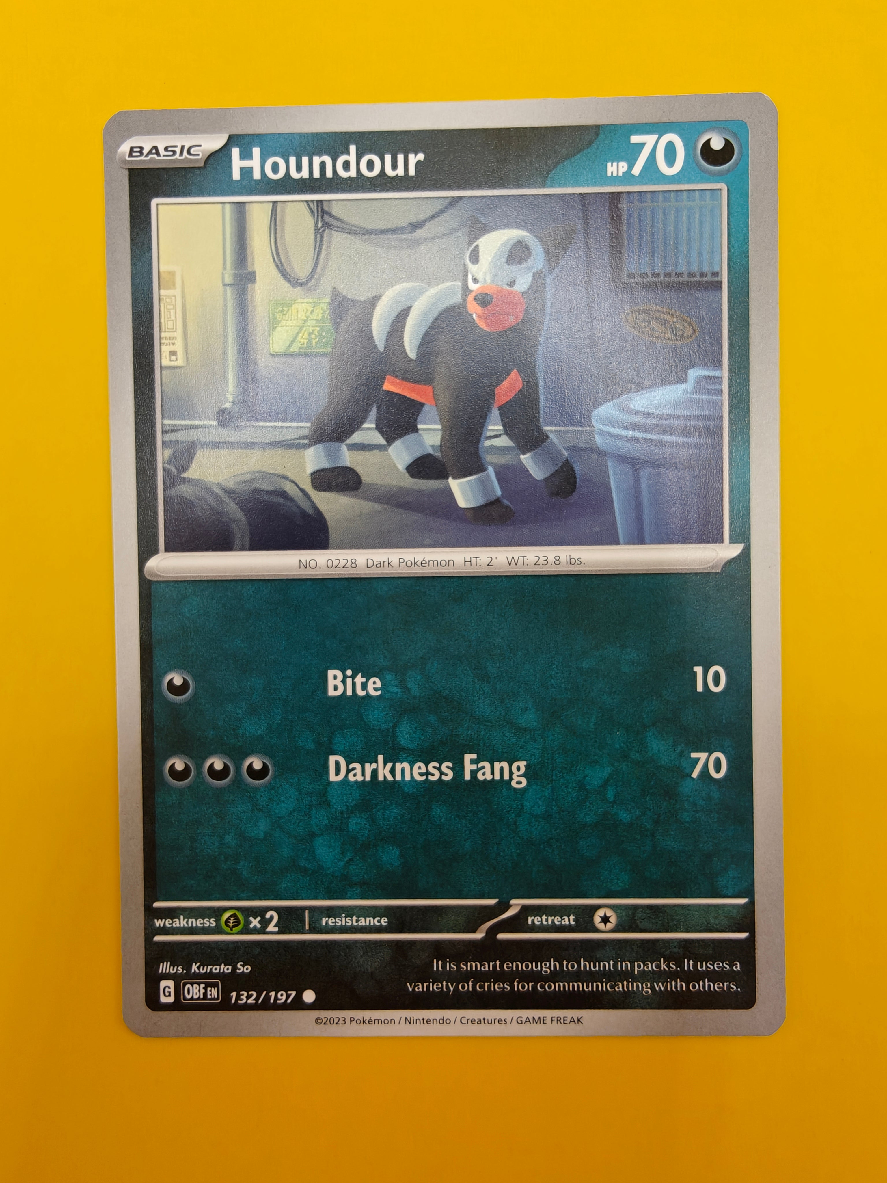 Houndour - Obsidian Flames