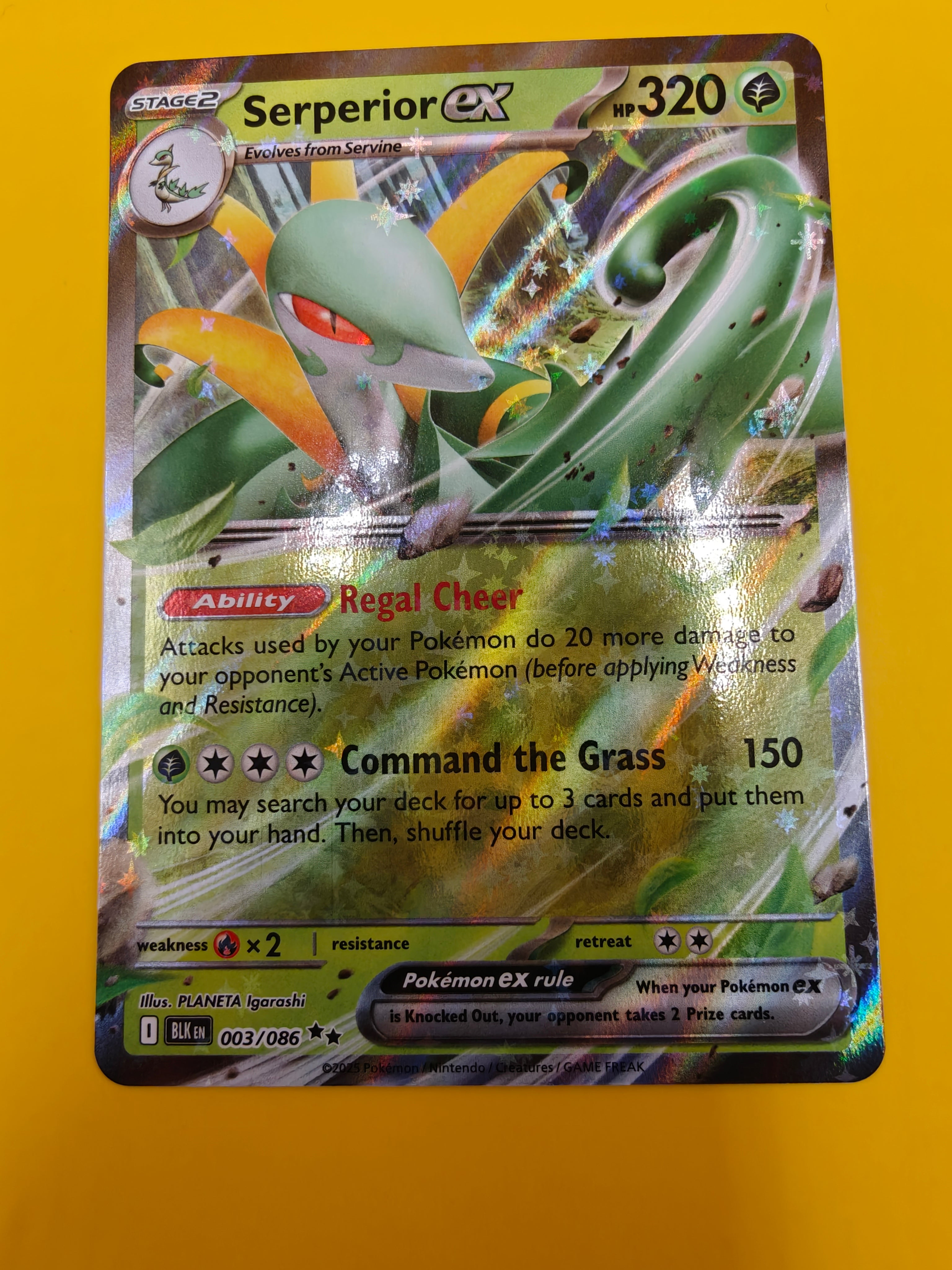 Serperior ex - Black Bolt