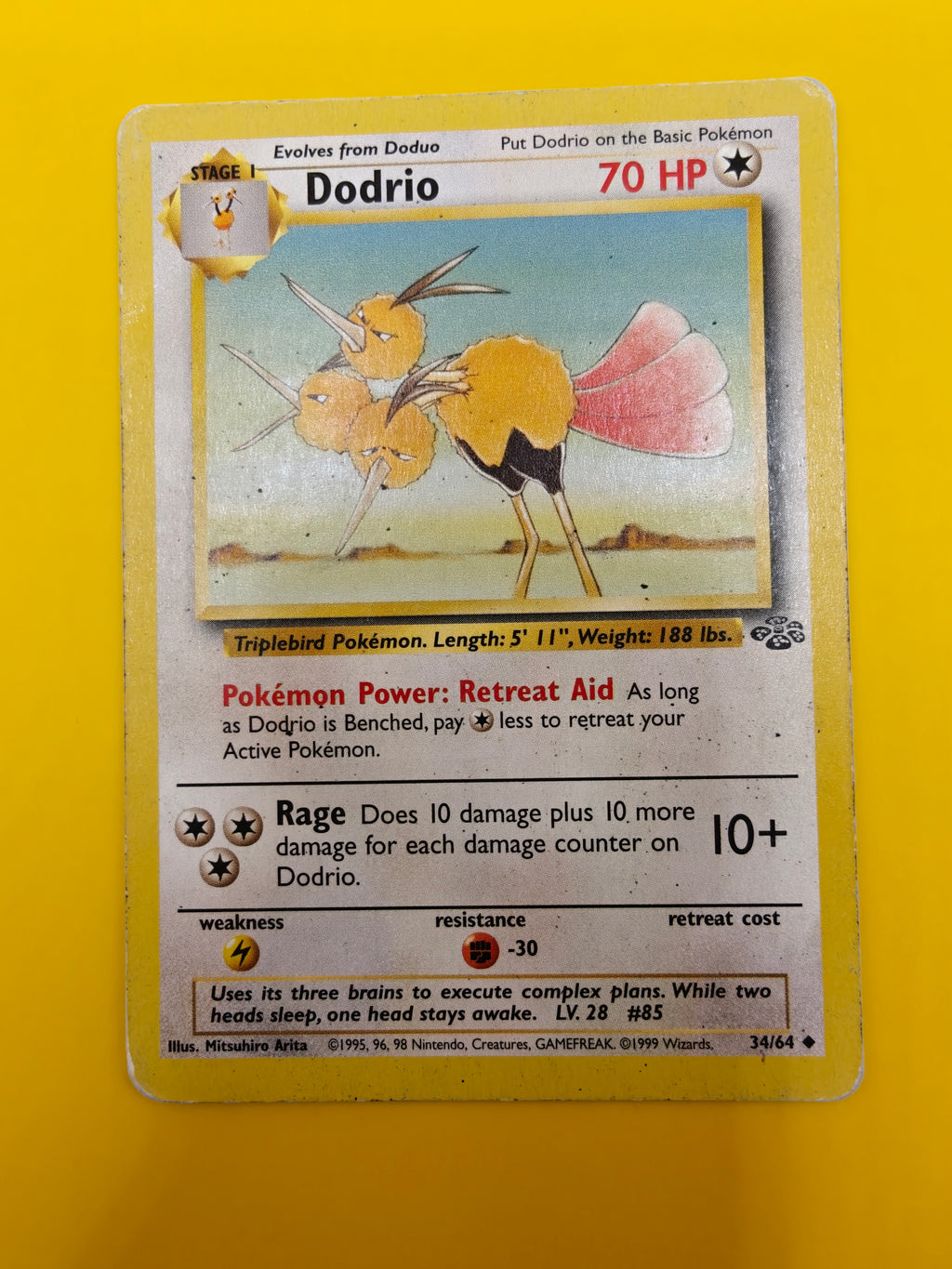 Dodrio - Jungle