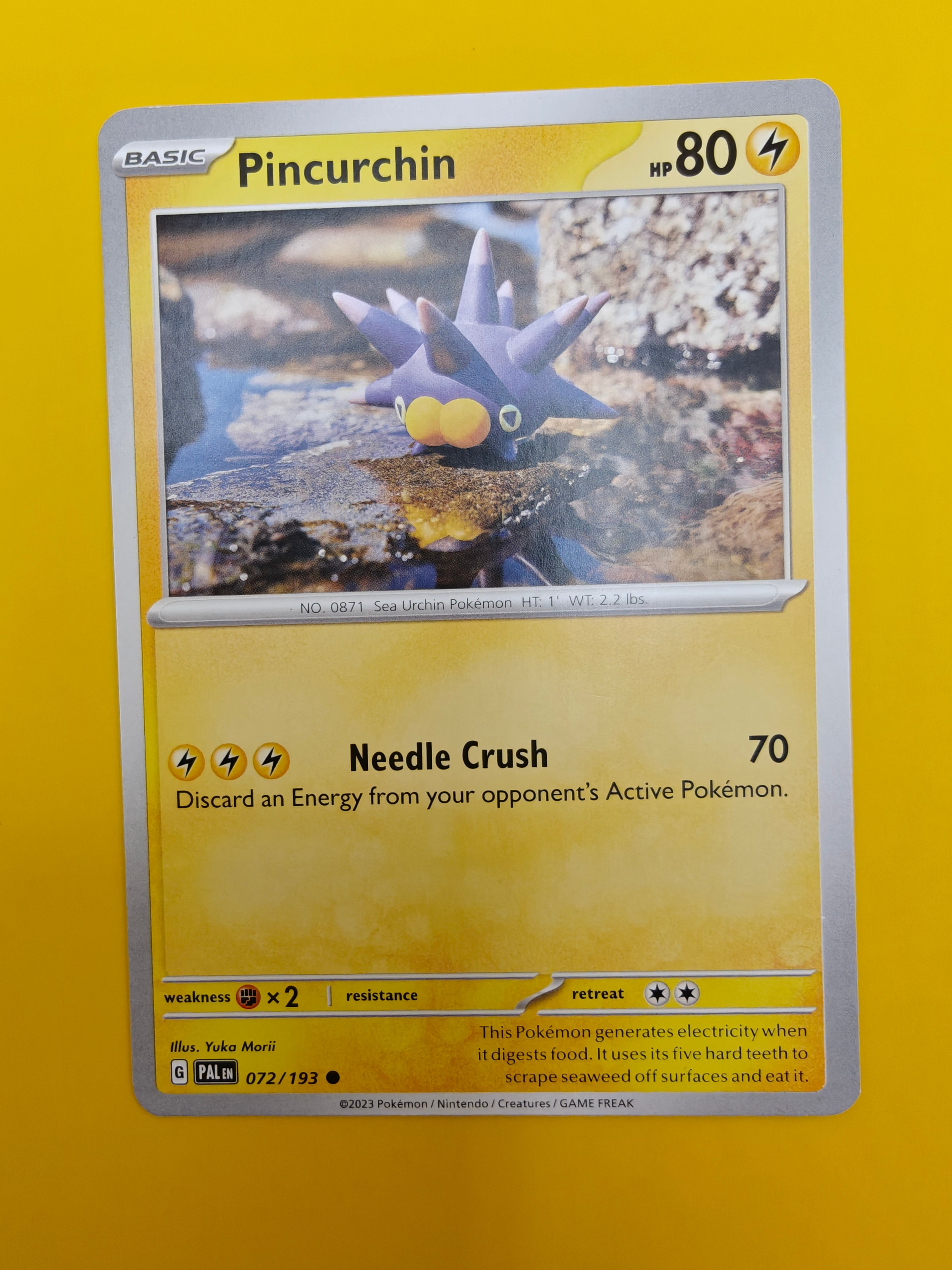 Pincurchin - Paldea Evolved