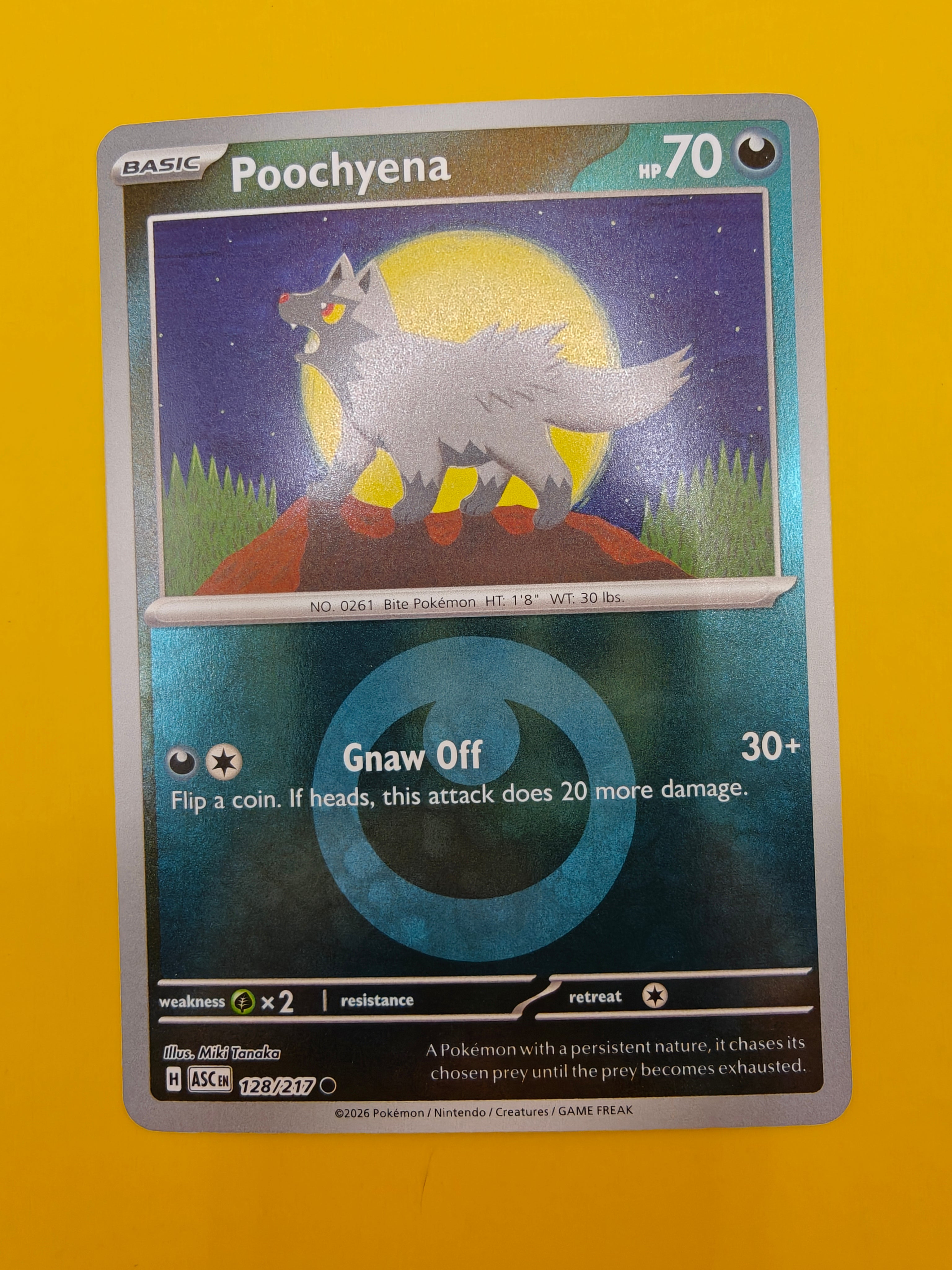 Poochyena Energy Stamp - Ascended Heroes