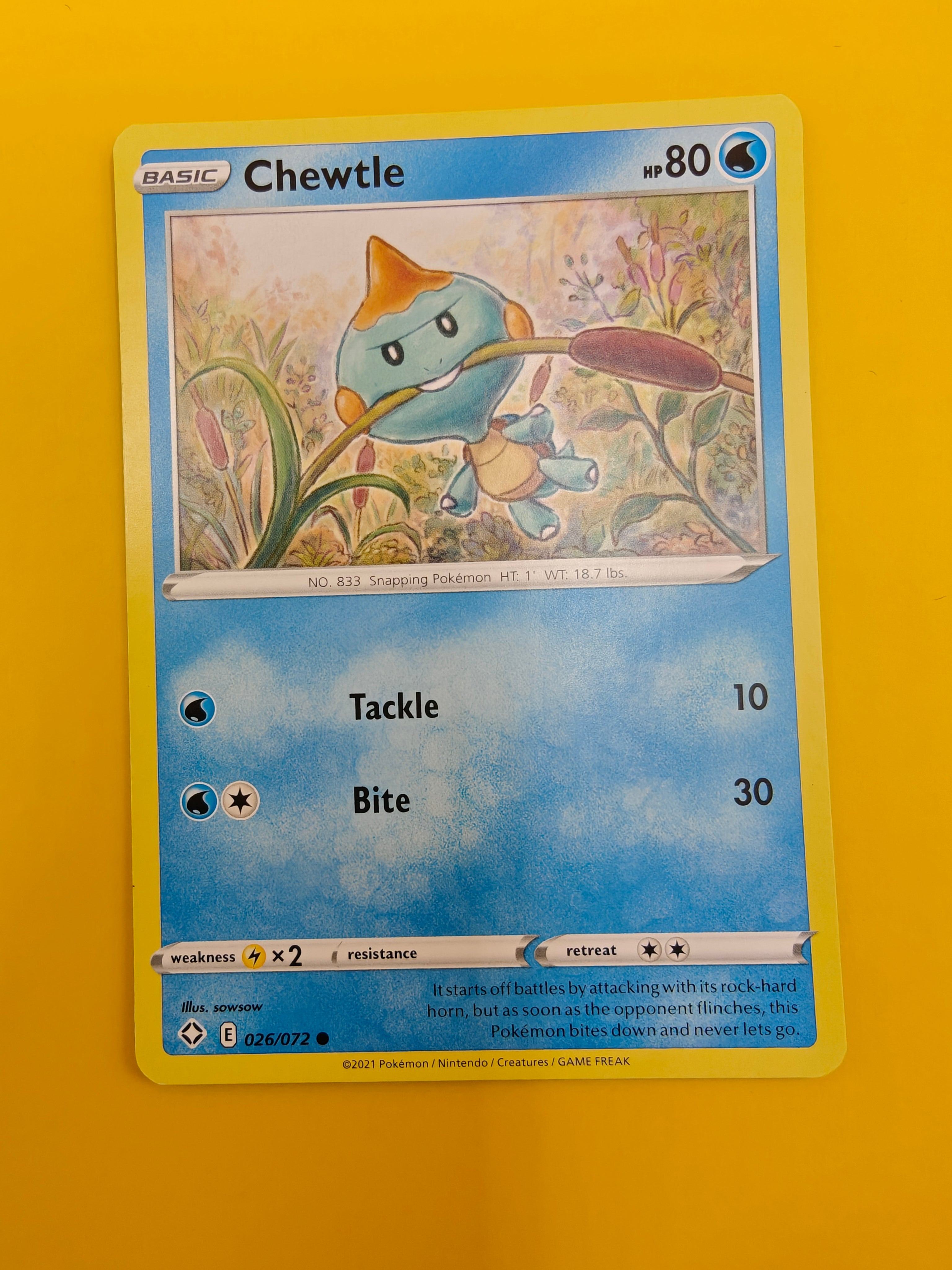 Chewtle - Shining Fates