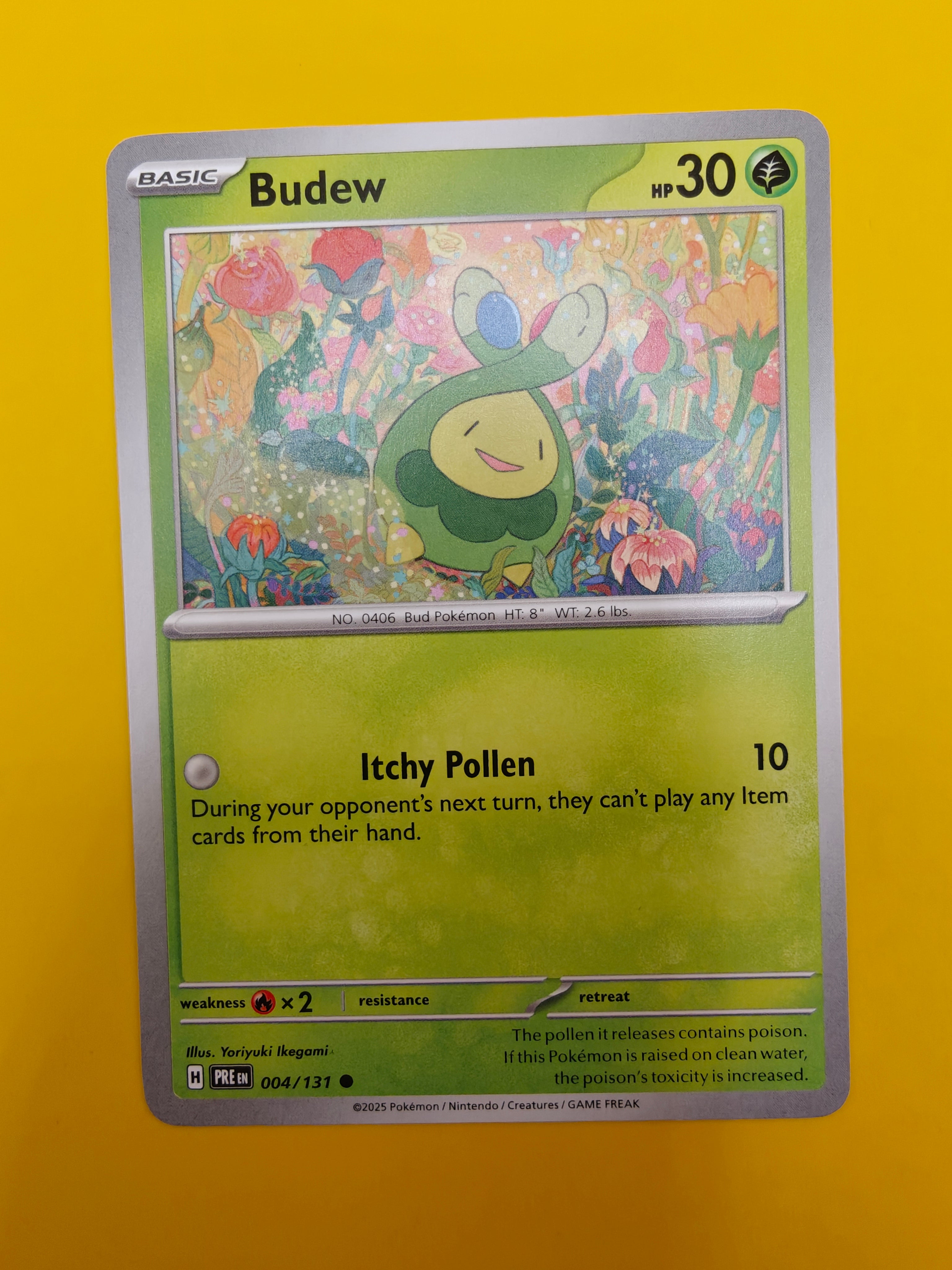 Budew - Prismatic Evolutions