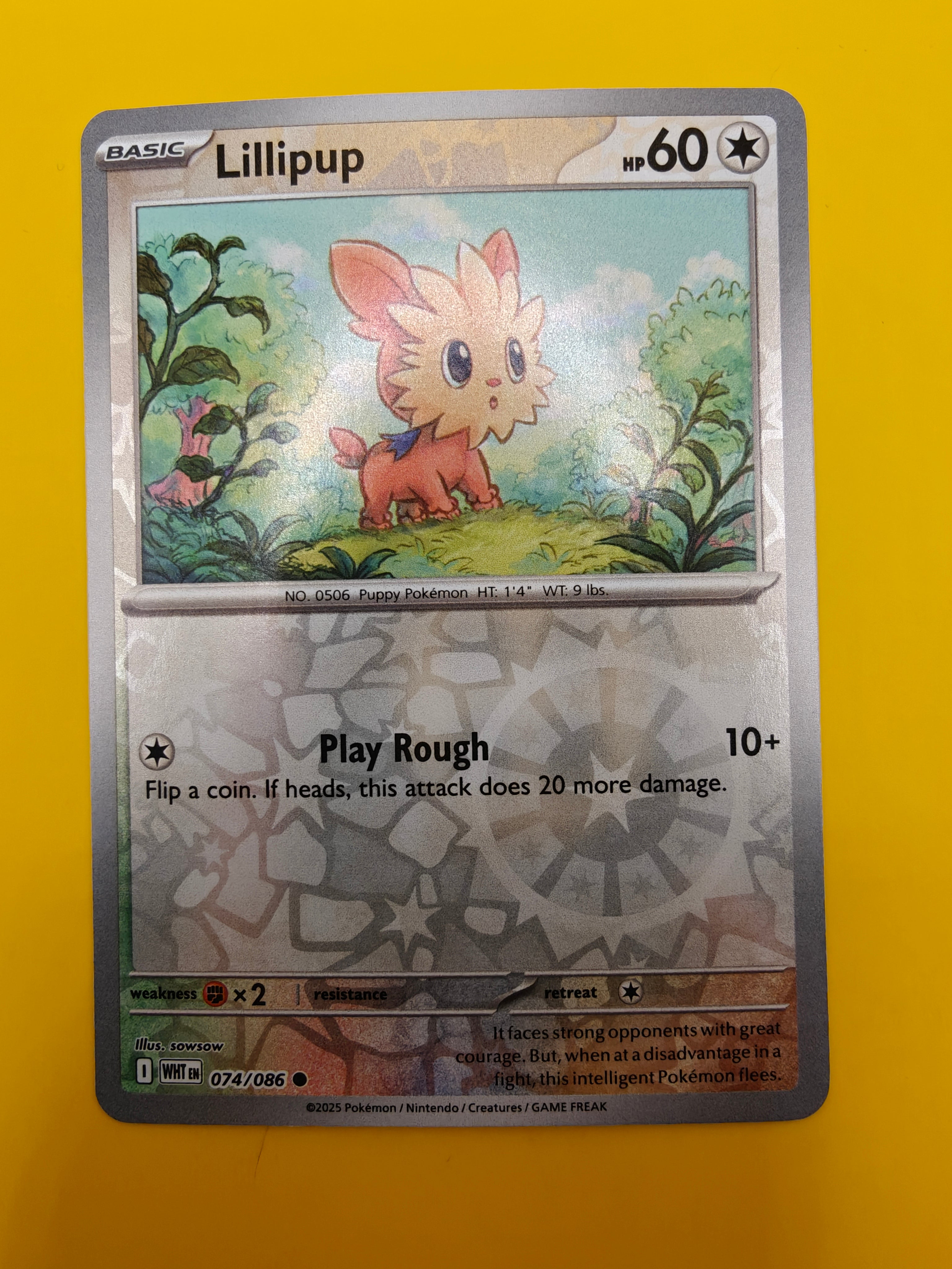 Lillipup Reverse Holo - White Flare