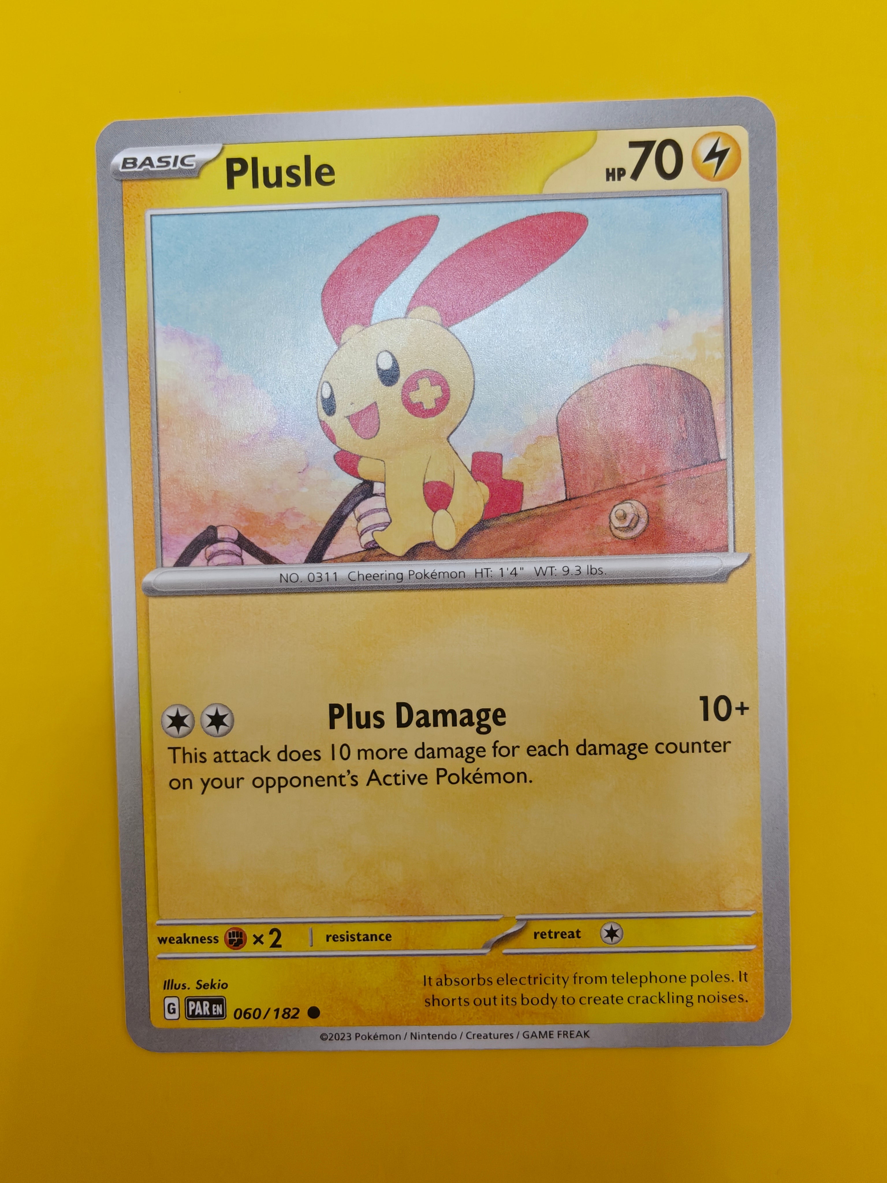 Plusle - Paradox Rift