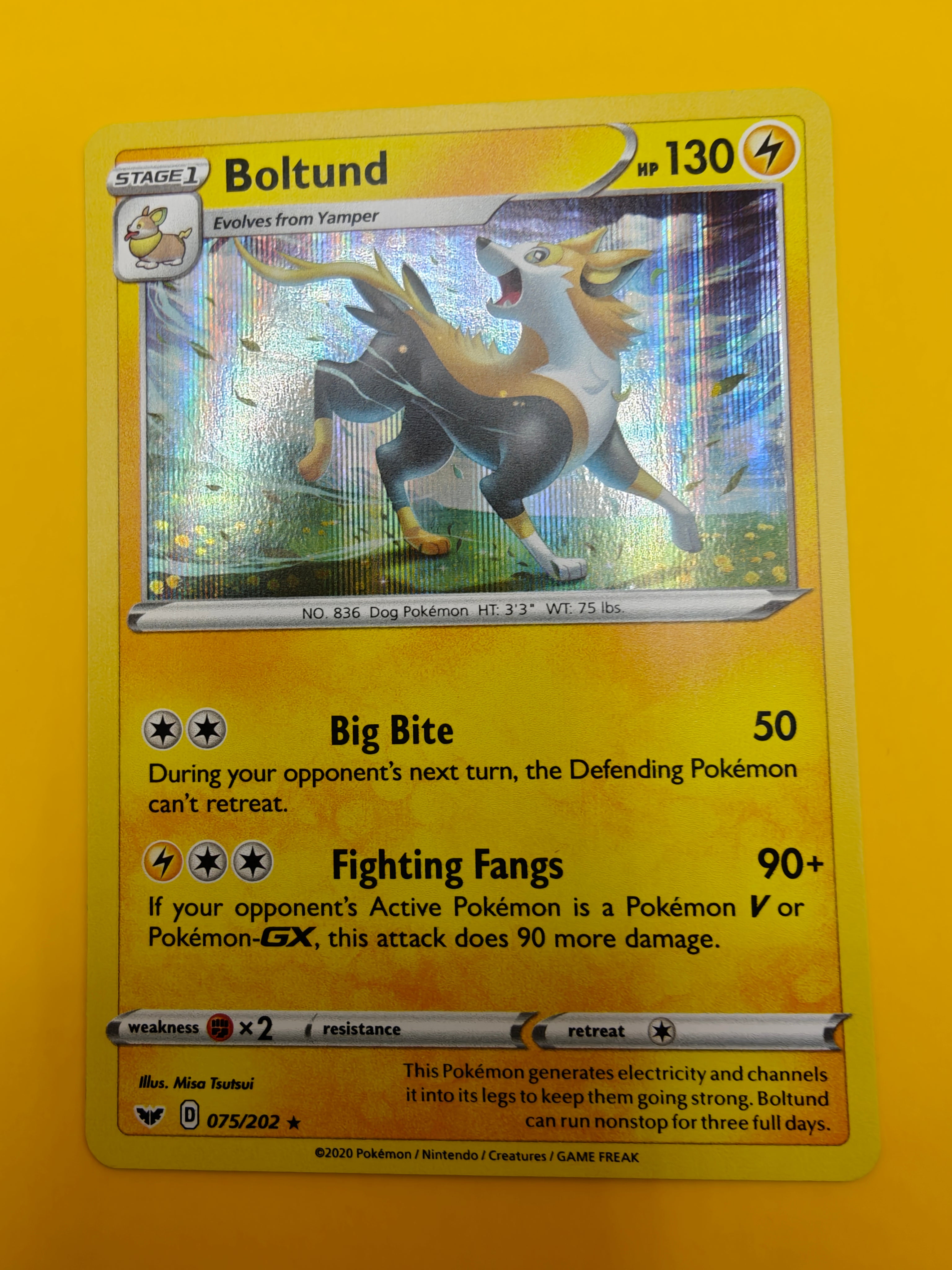 Boltund Holo - Sword & Shield Base Set