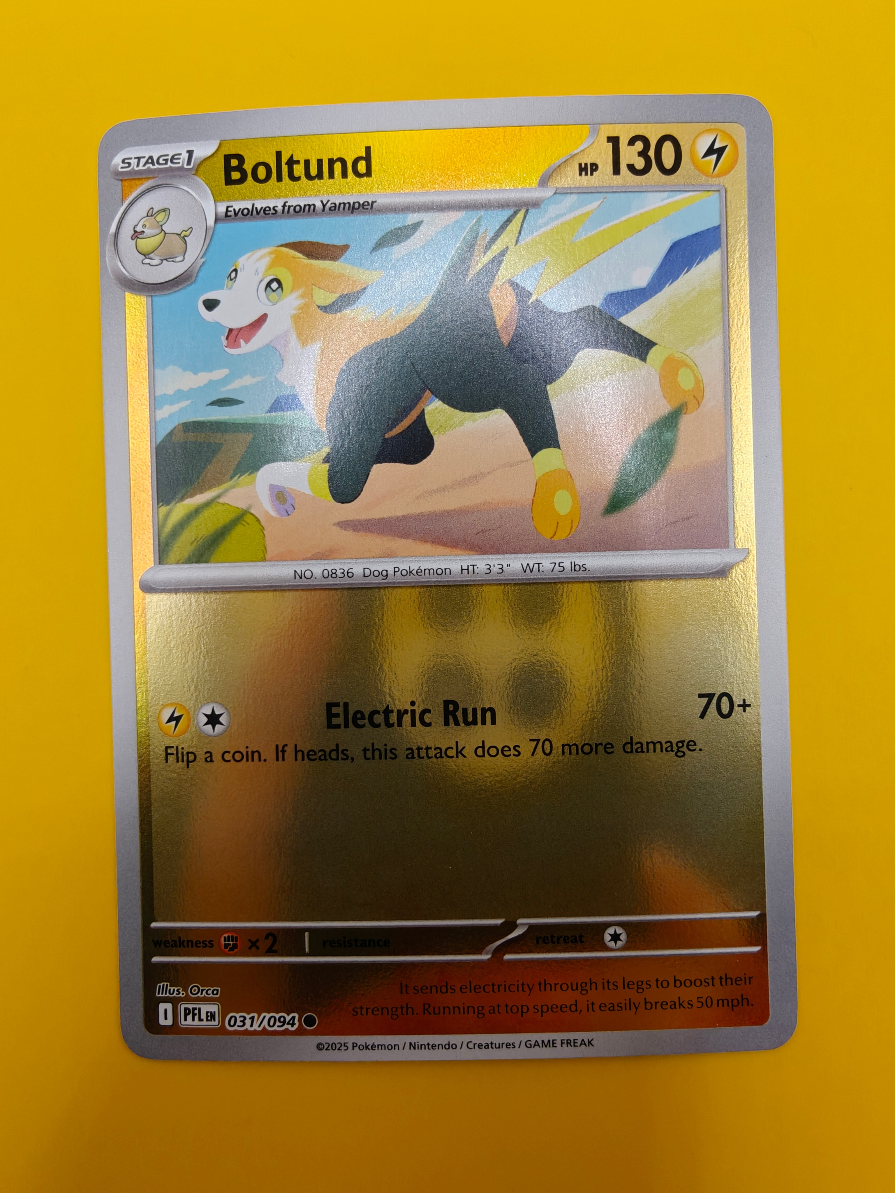 Boltund Reverse Holo - Phantasmal Flames
