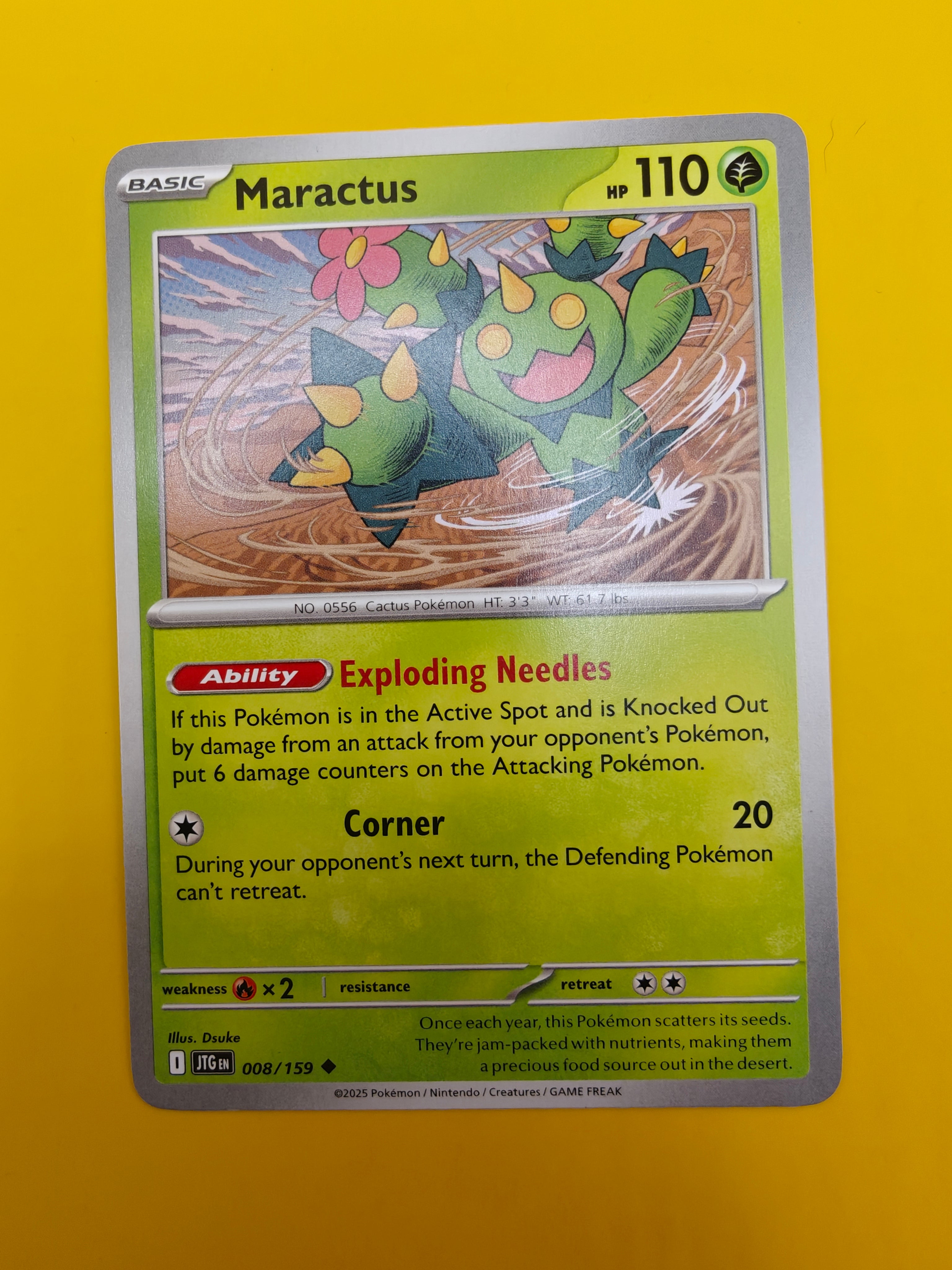Maractus - Journey Together