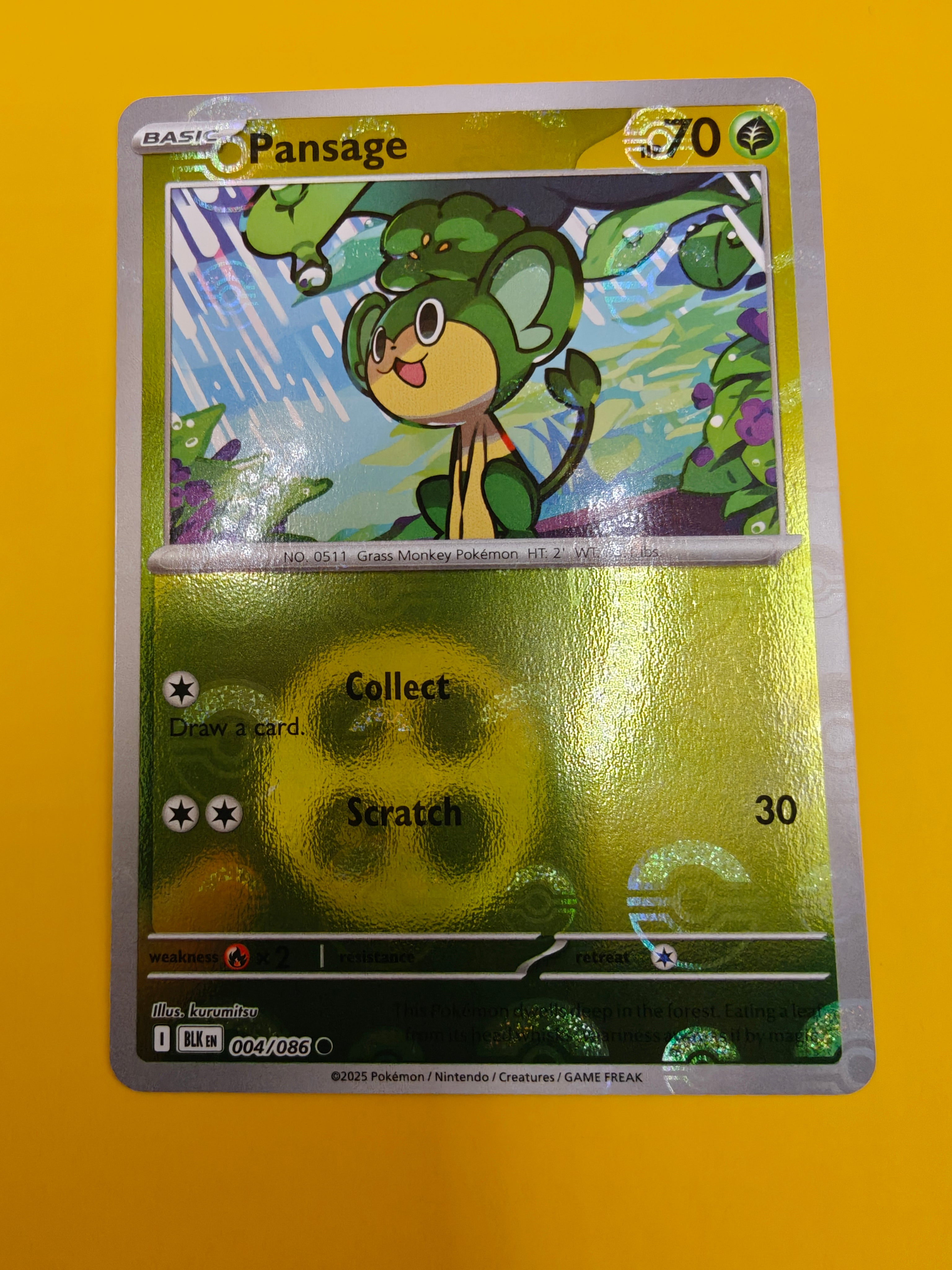 Pansage Poké Ball - Black Bolt