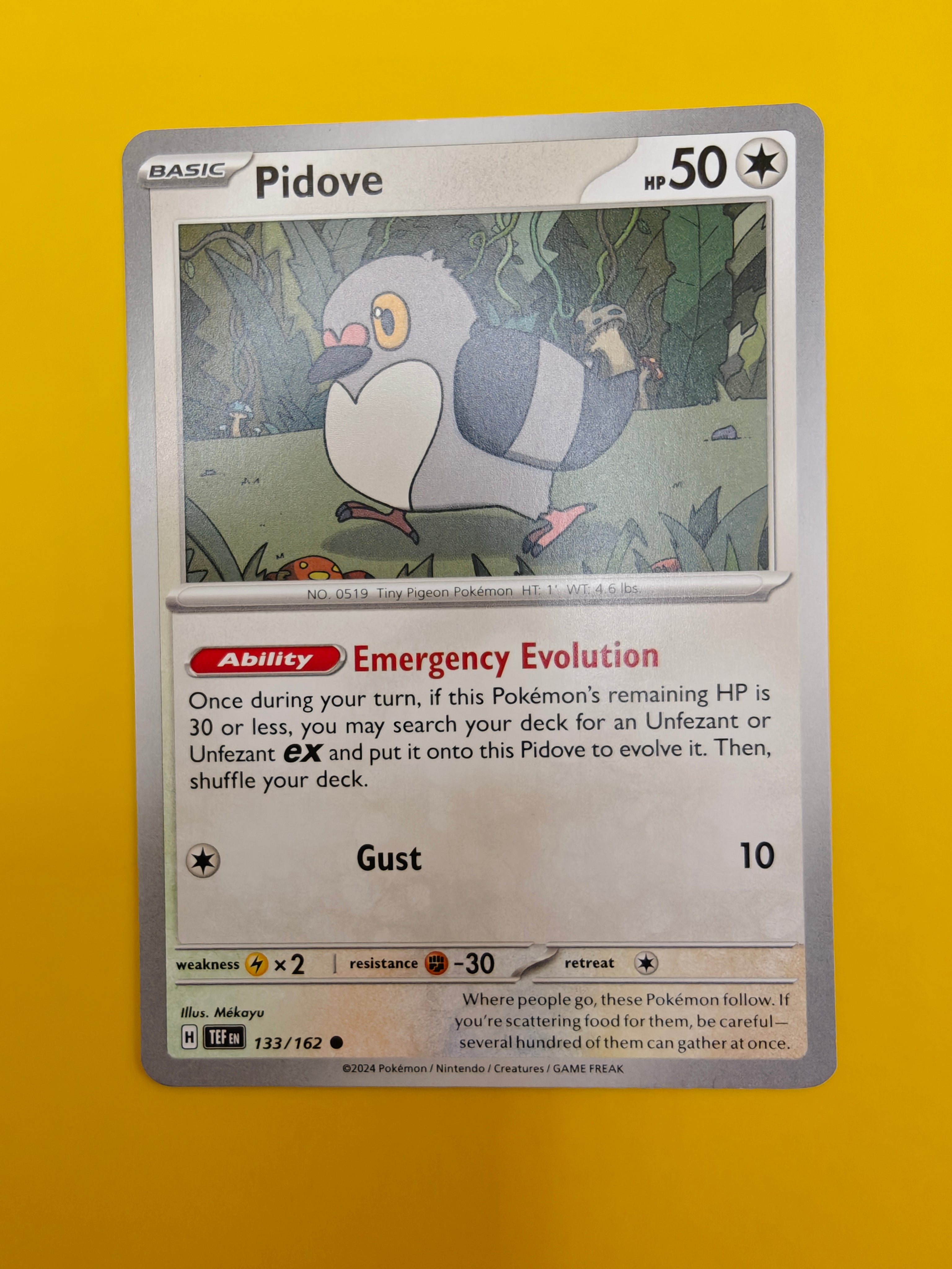 Pidove - Temporal Forces