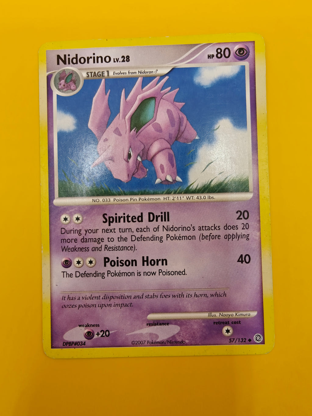 Nidorino Lv.28 - Secret Wonders
