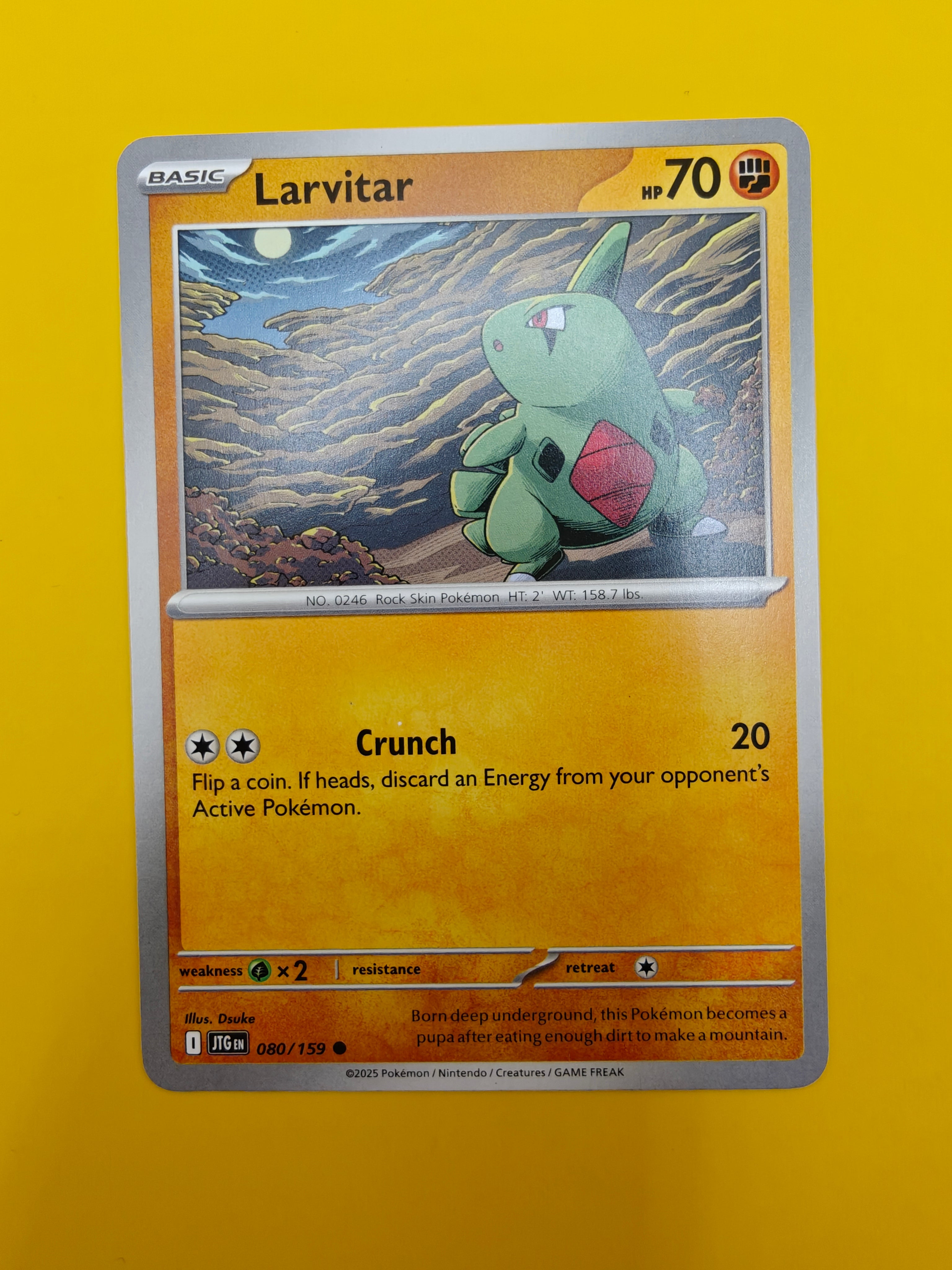 Larvitar - Journey Together