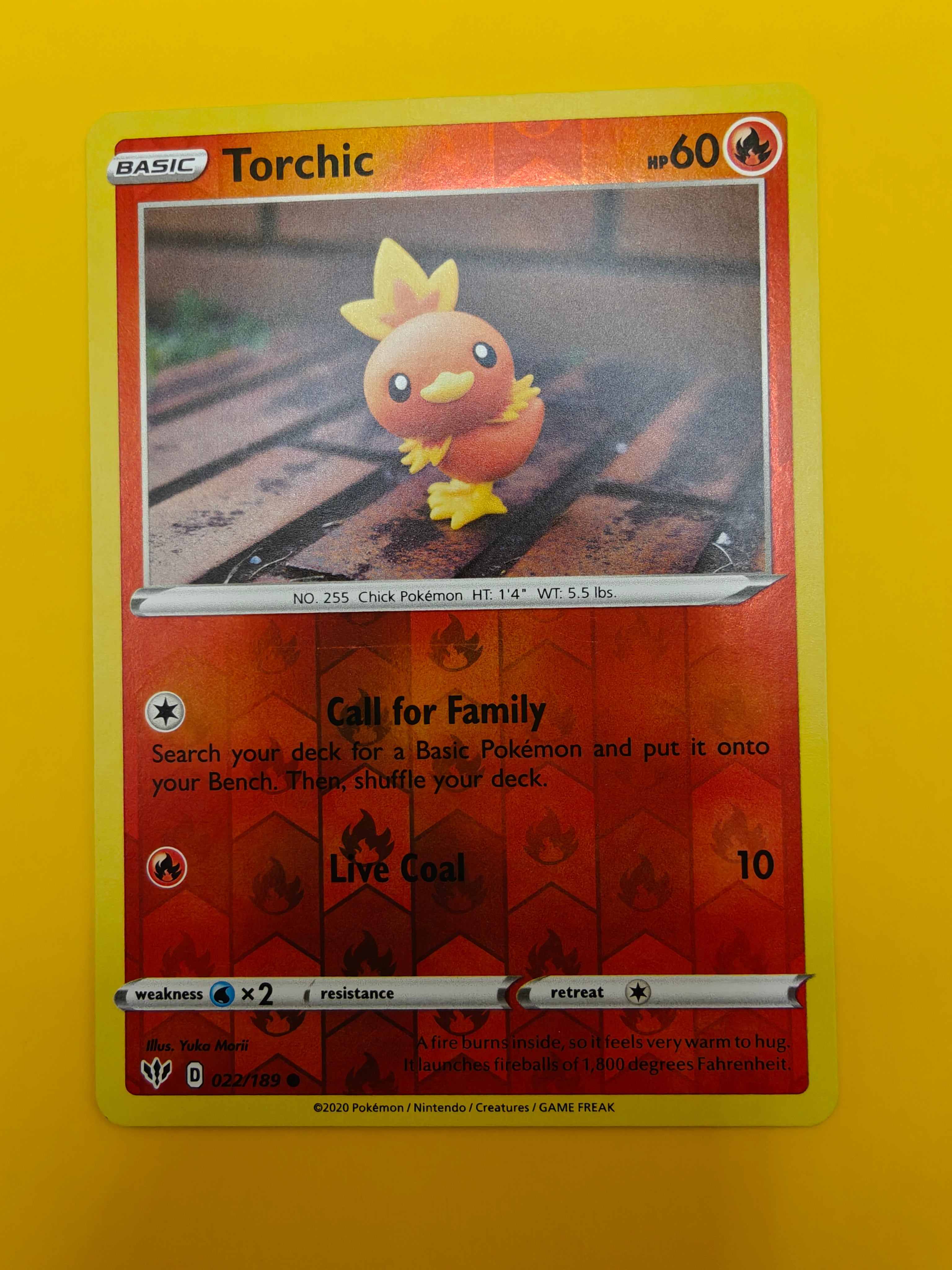 Torchic Reverse Holo - Darkness Ablaze