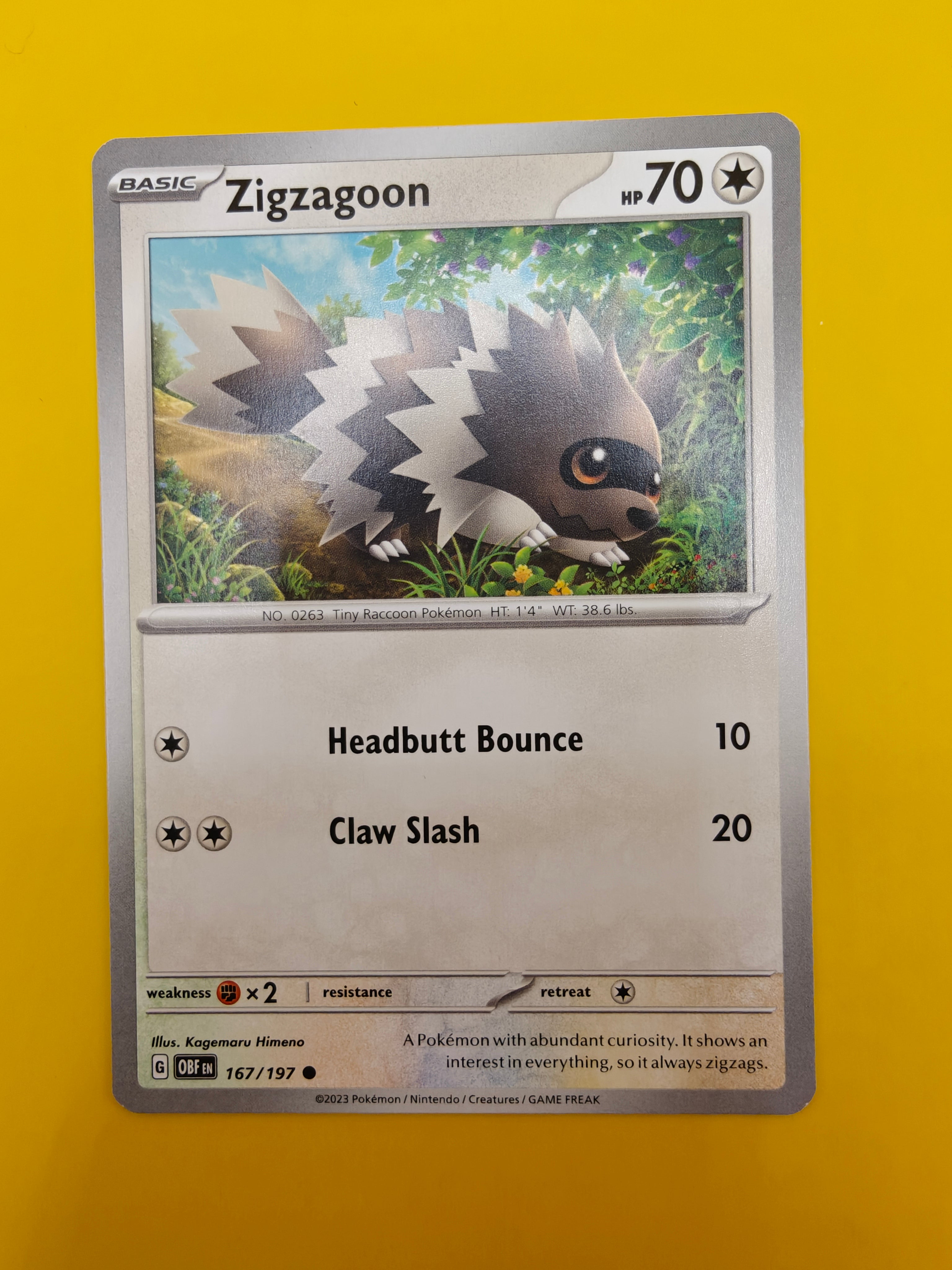 Zigzagoon - Obsidian Flames