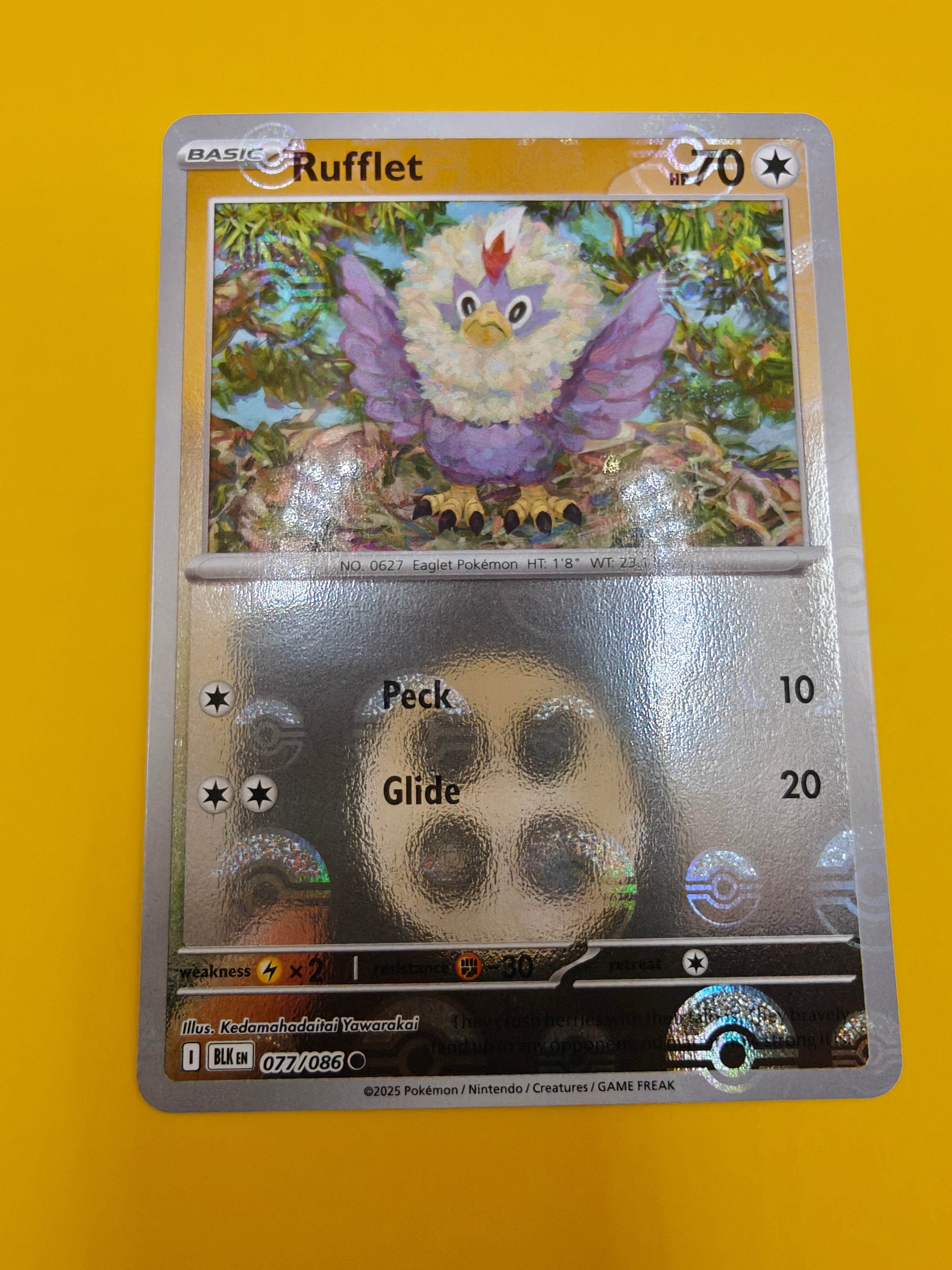 Rufflet Poké Ball - Black Bolt
