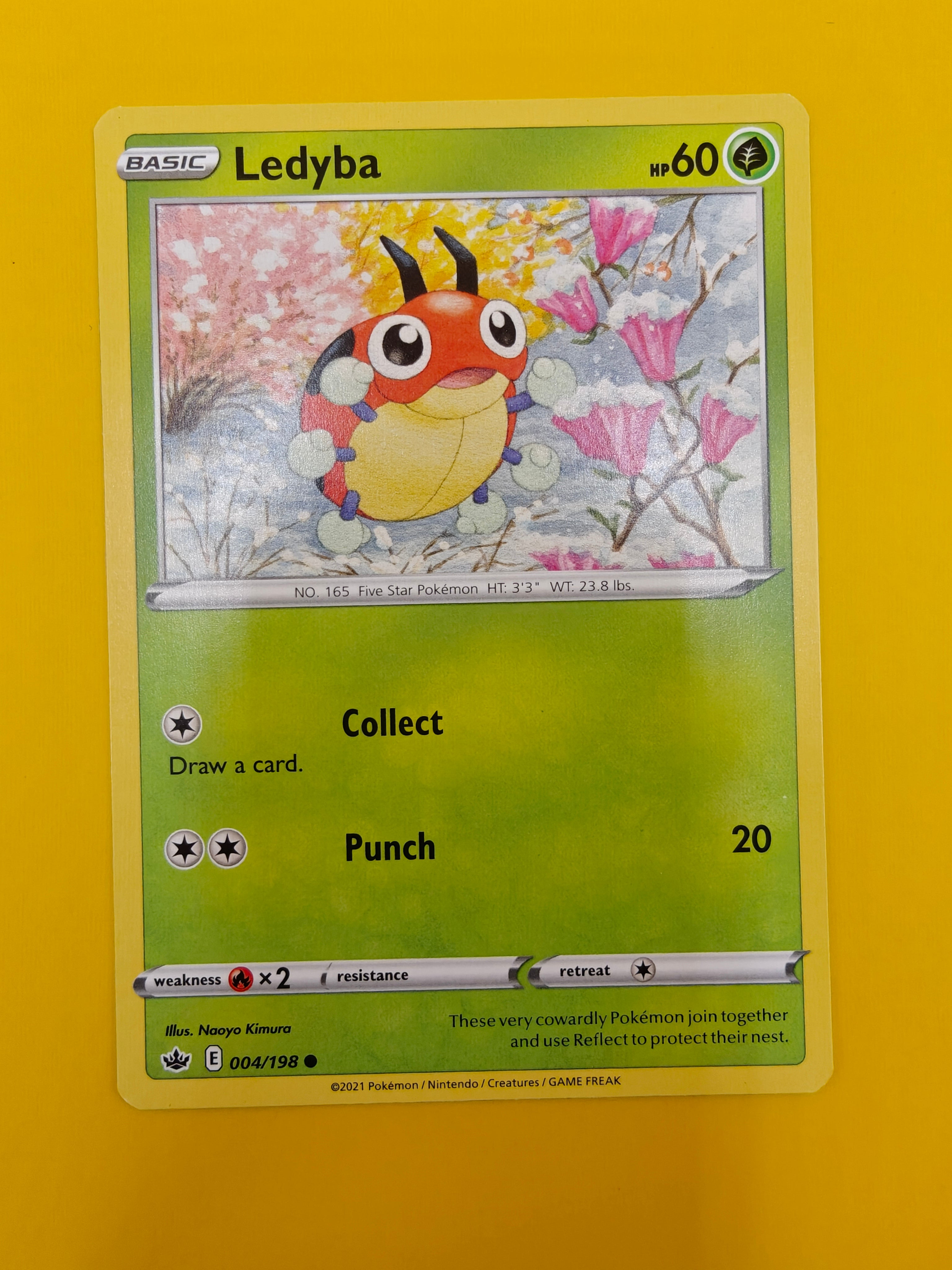 Ledyba - Chilling Reign