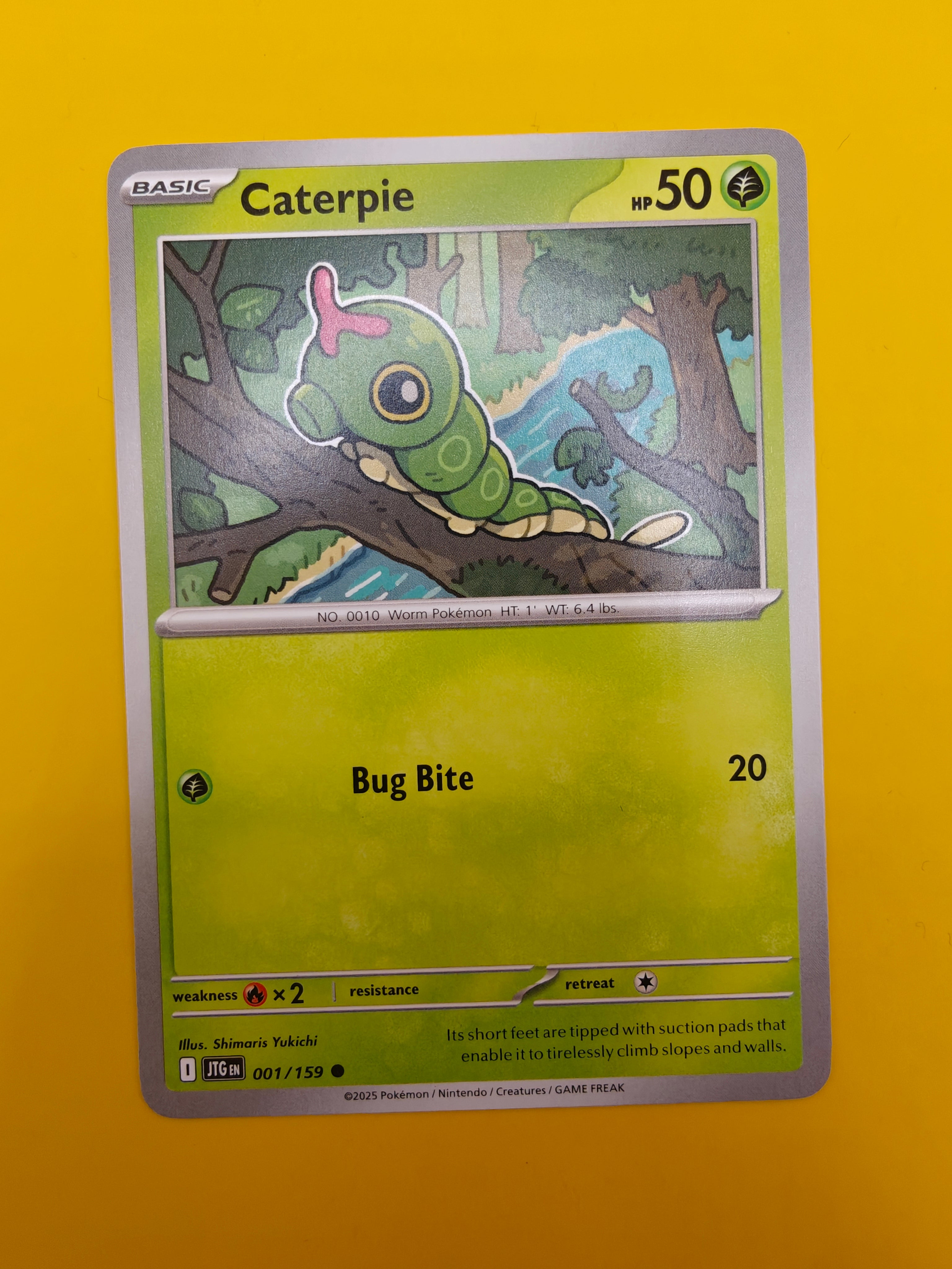 Caterpie - Journey Together