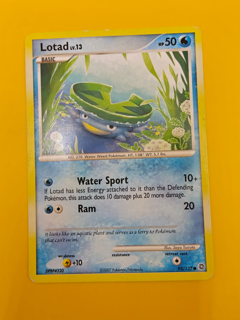 Lotad Lv.13 - Secret Wonders