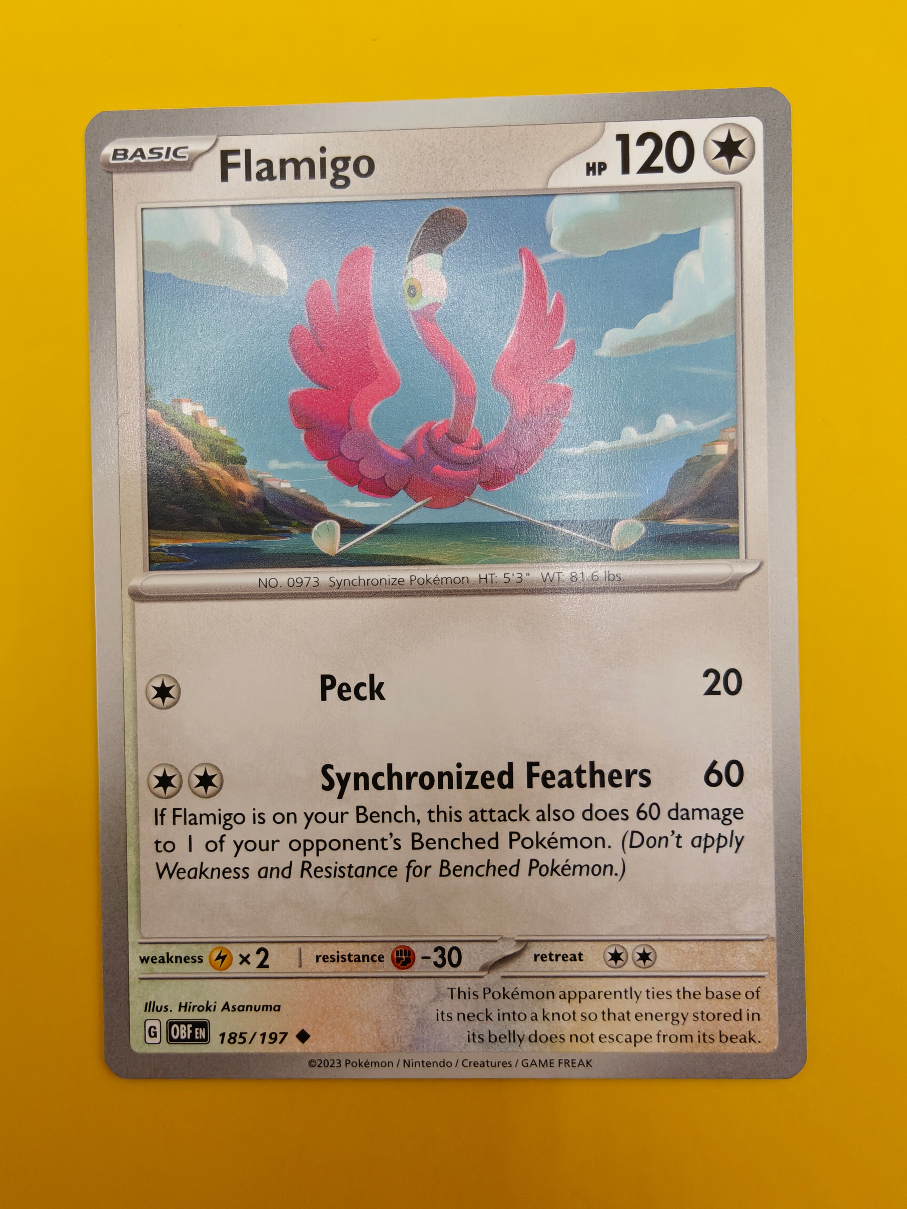 Flamigo - Obsidian Flames