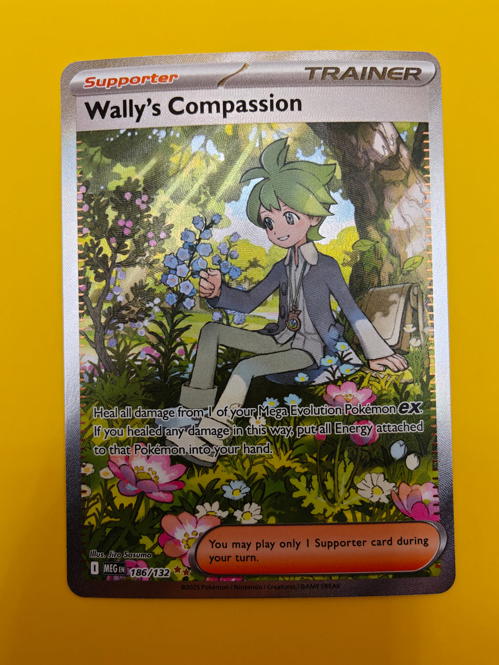 Wally's Compassion SIR - Mega Evolution Base Set