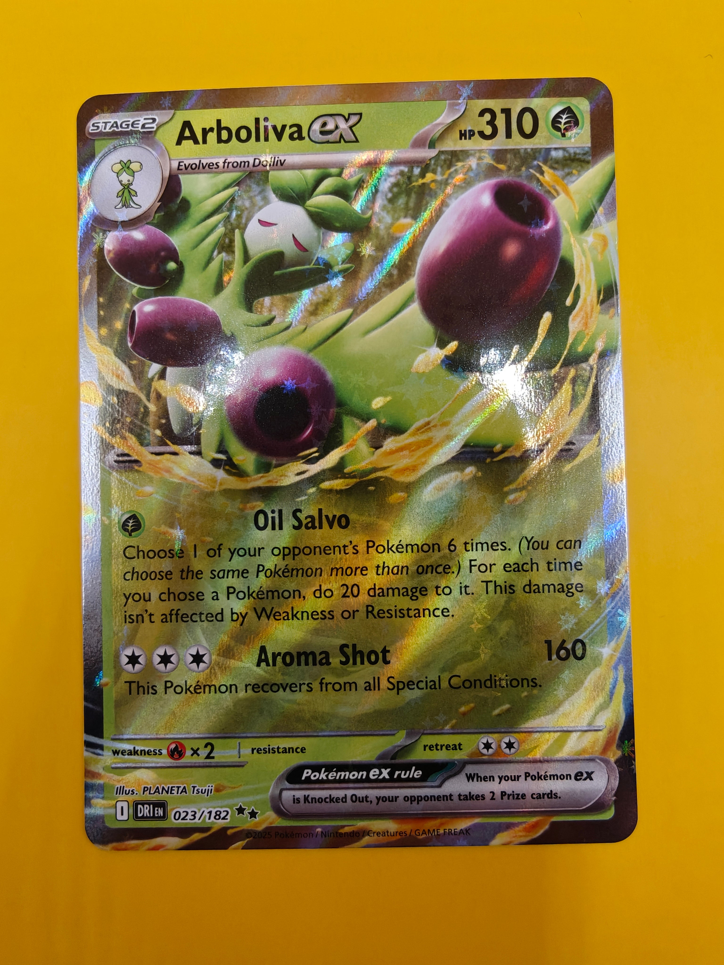 Arboliva ex - Destined Rivals