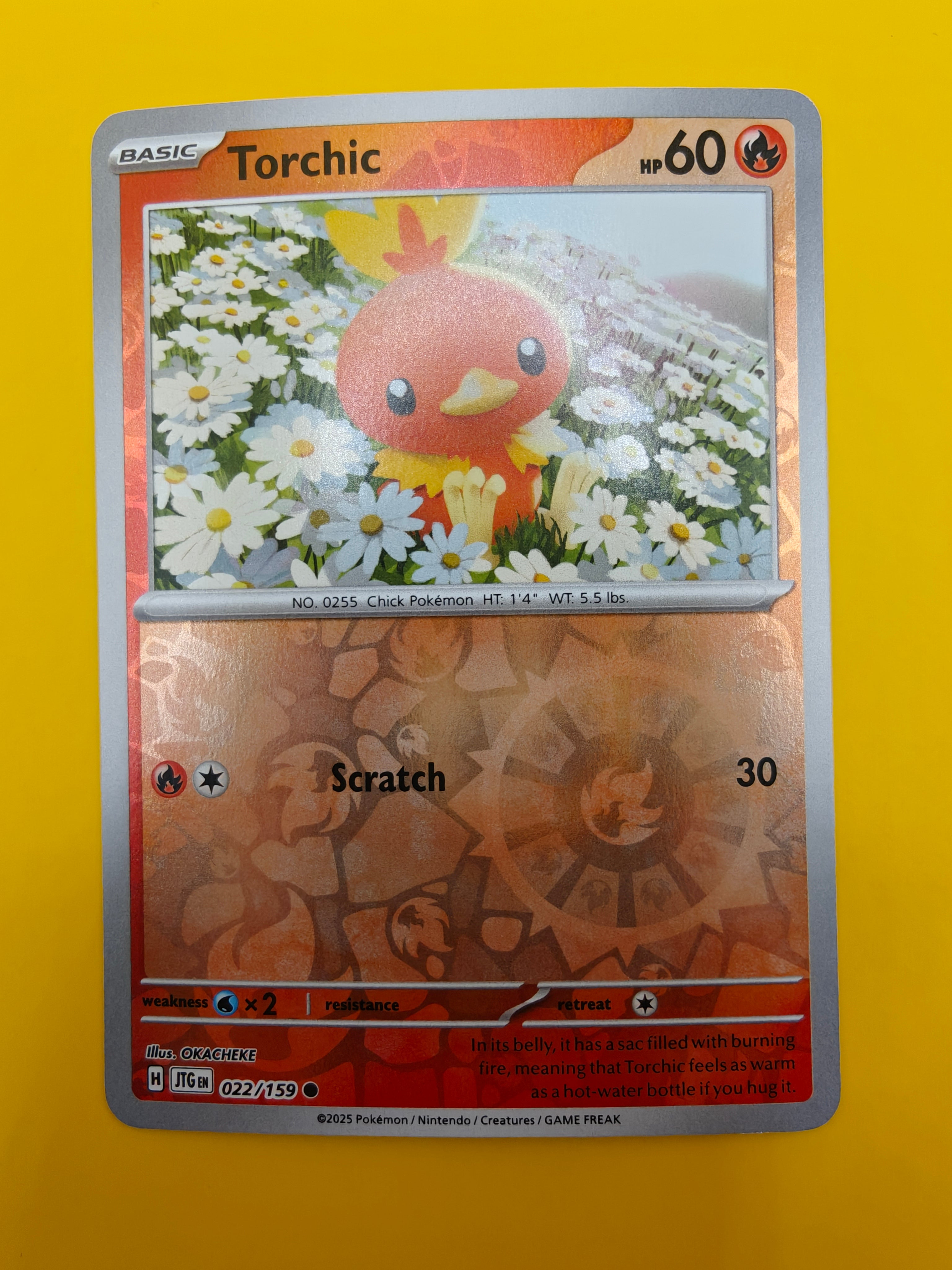 Torchic Reverse Holo - Journey Together