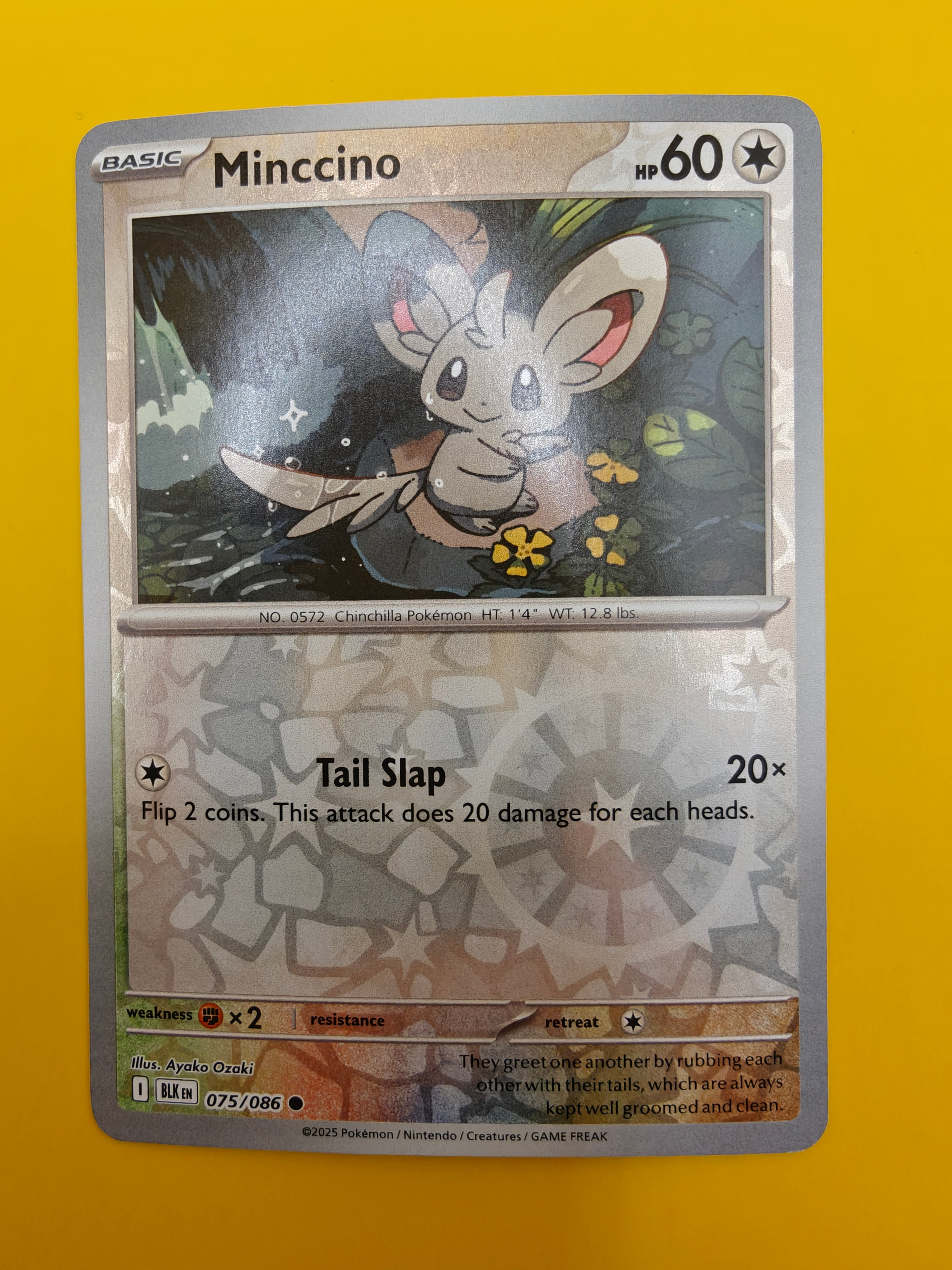 Minccino Reverse Holo - Black Bolt