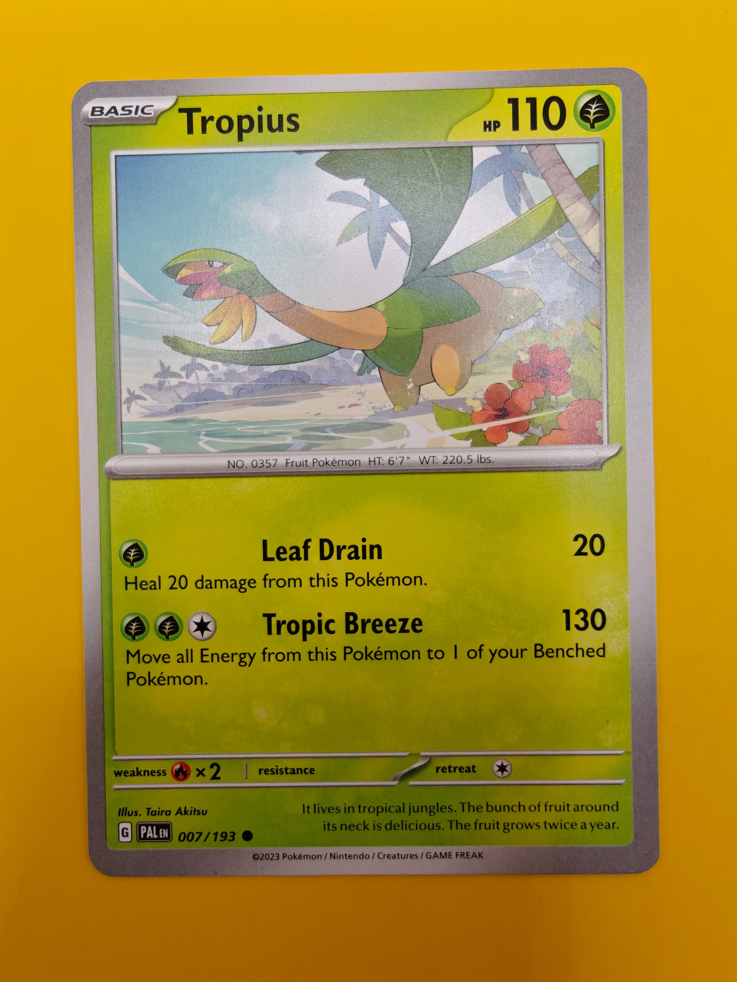 Tropius - Paldea Evolved