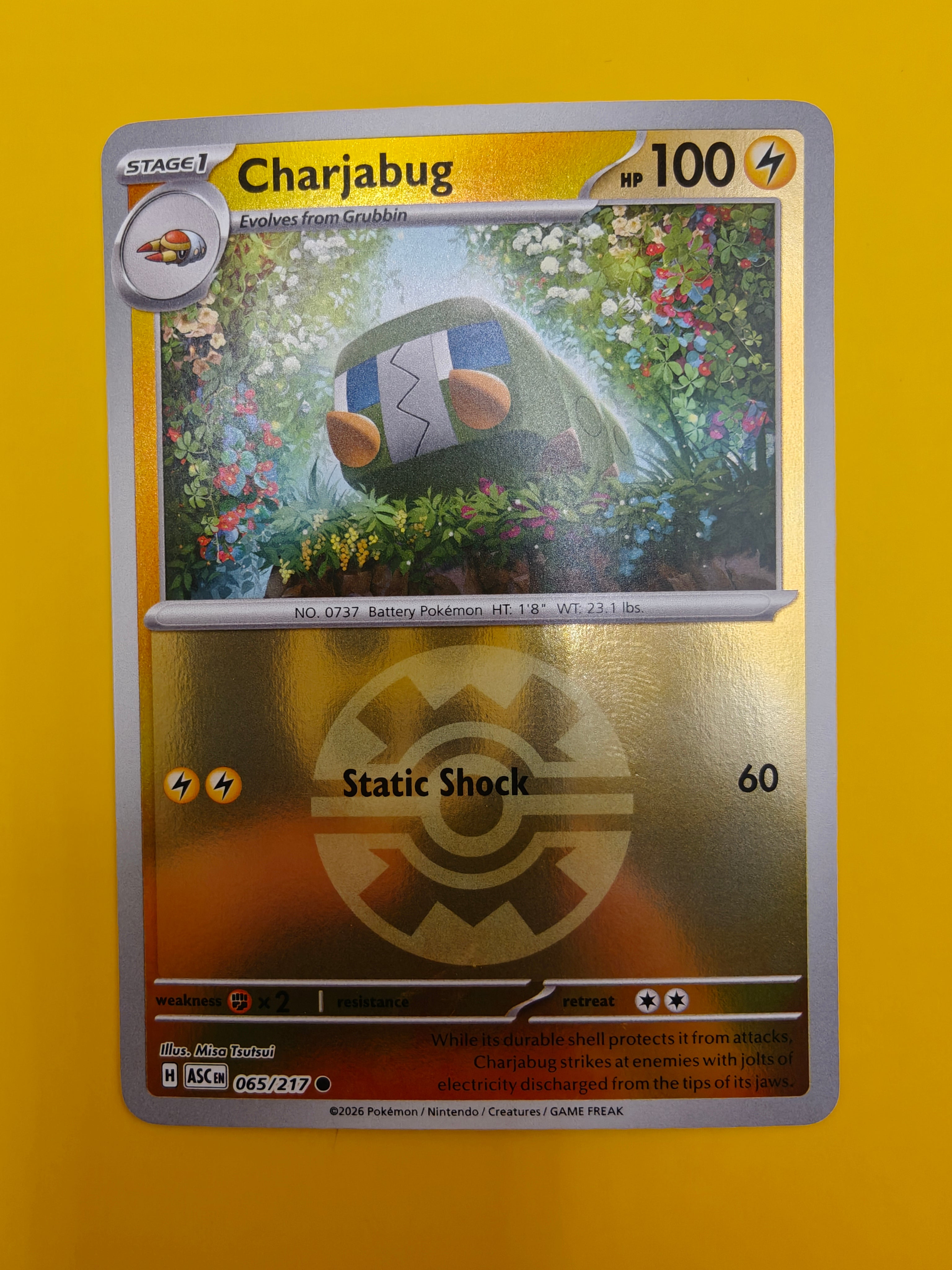 Charjabug Poké Ball - Ascended Heroes
